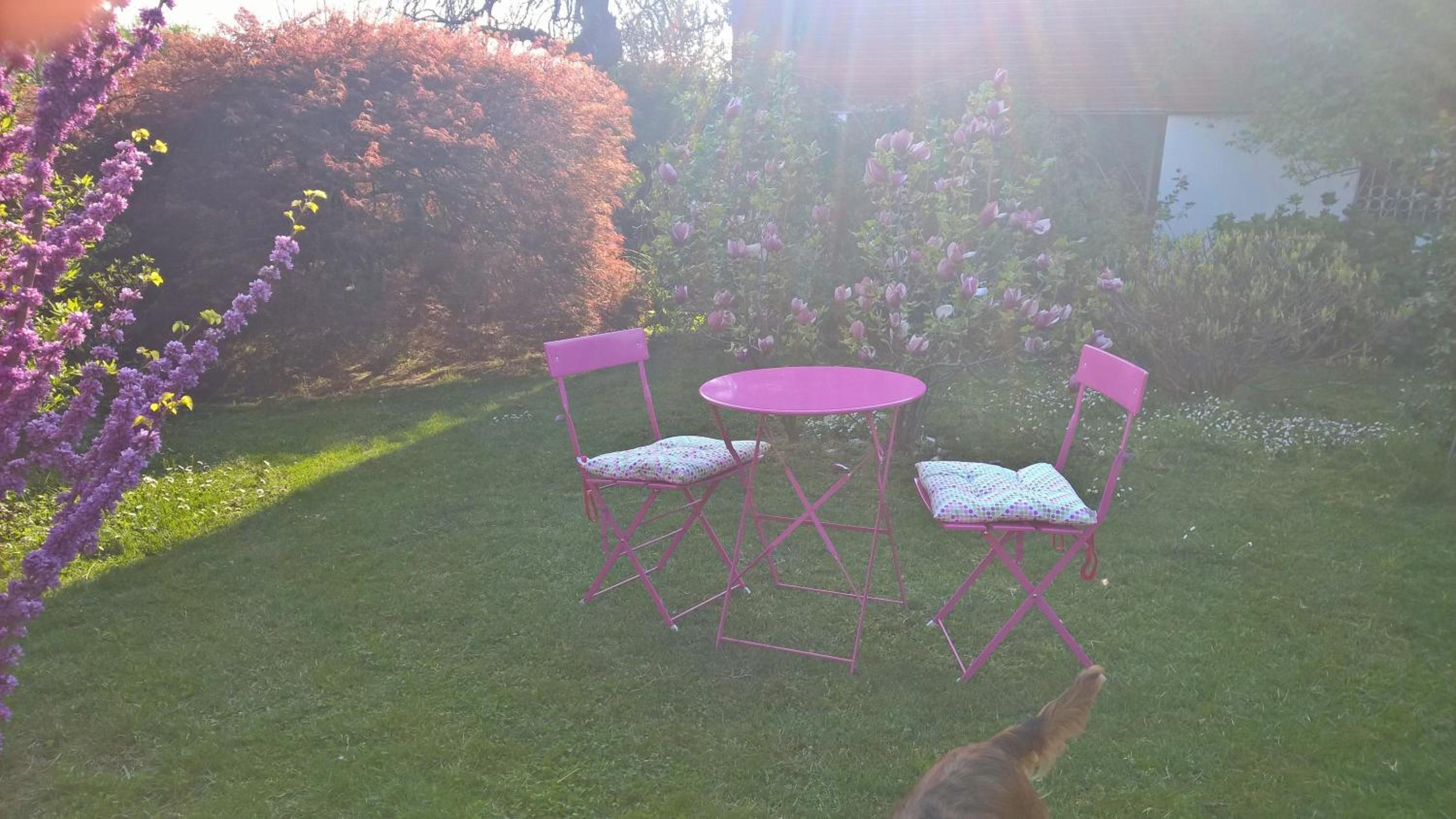 B&B Villa Giardini Susanna view 5