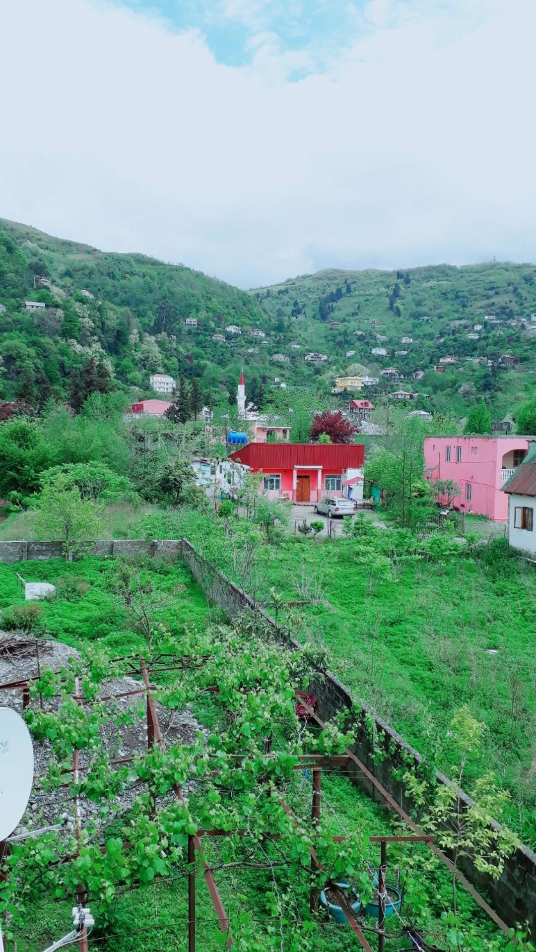 Guesthouse Gio