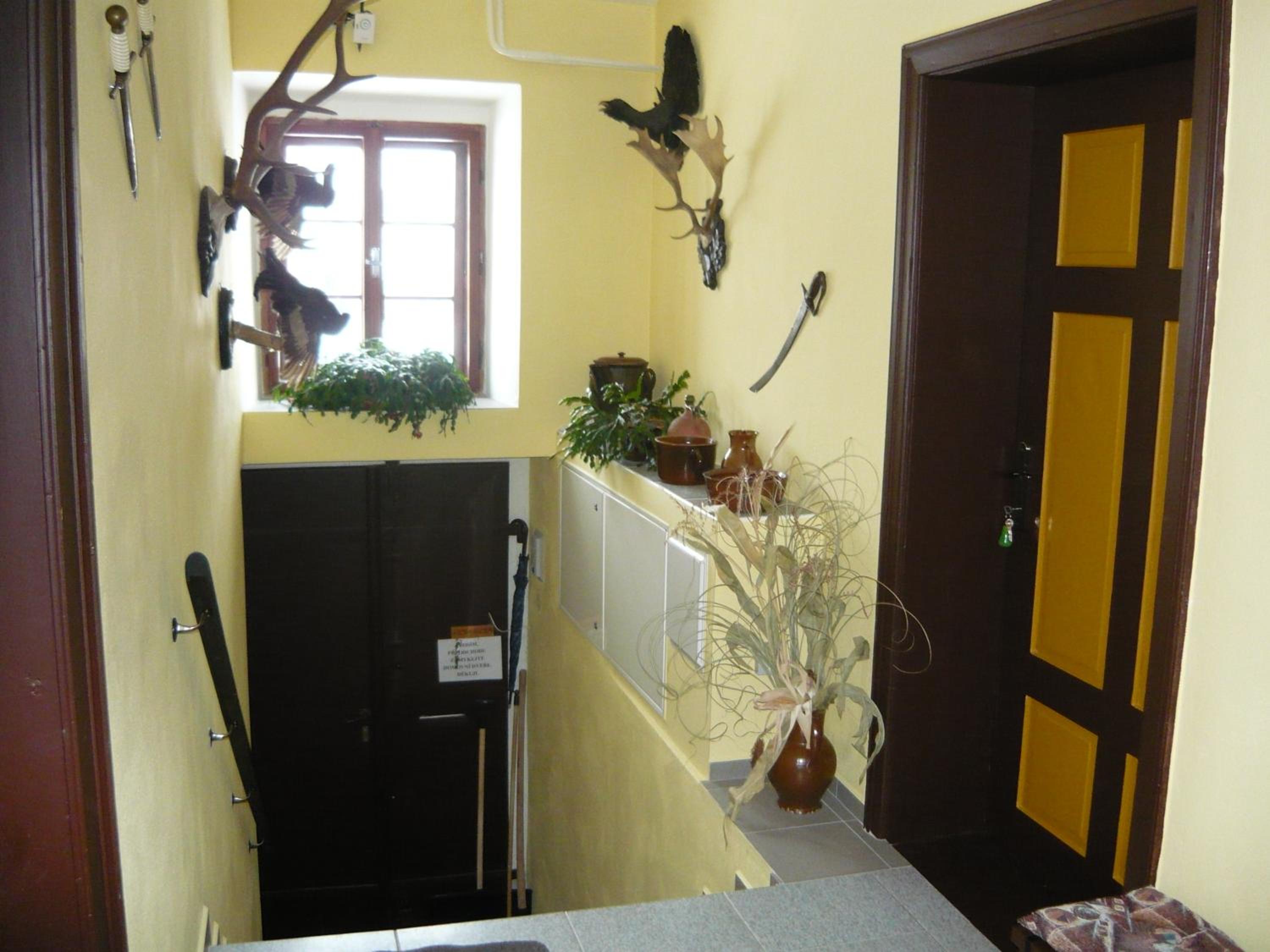 Kotrba privat