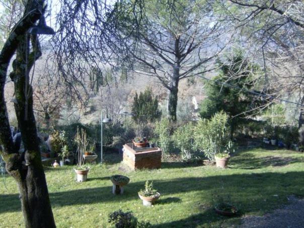 La Querciolina photo 5