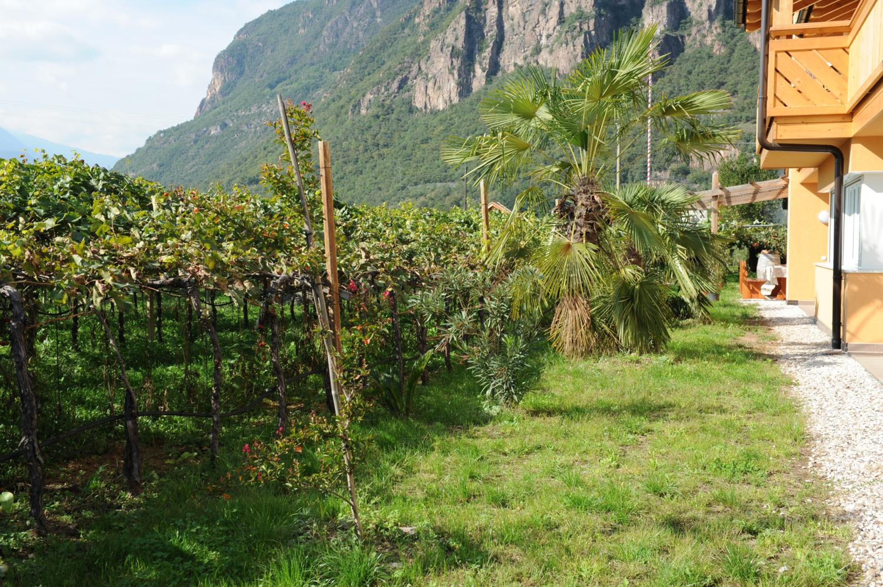 Photo 40
