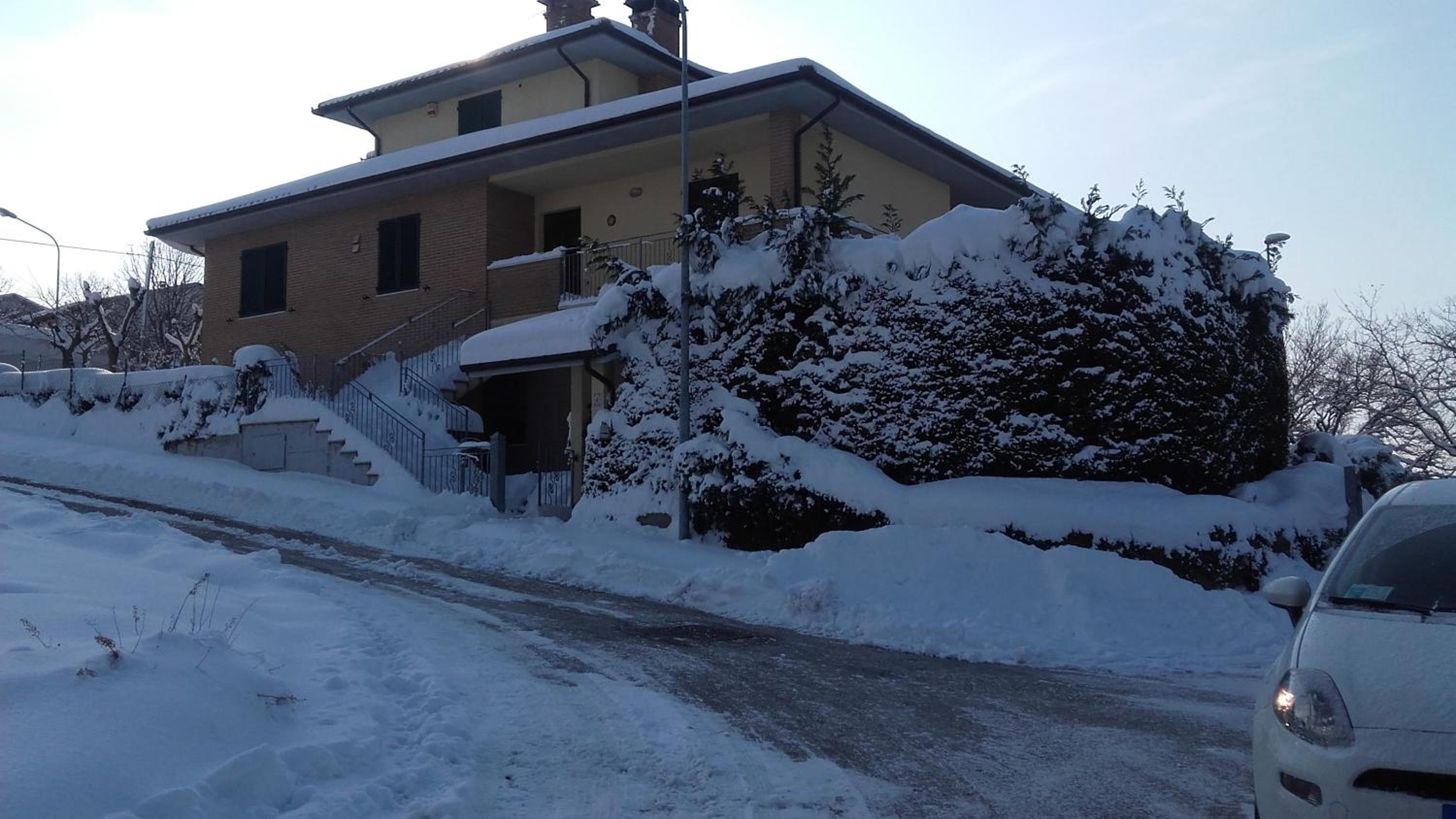 B & B Il Sicomoro photo 4