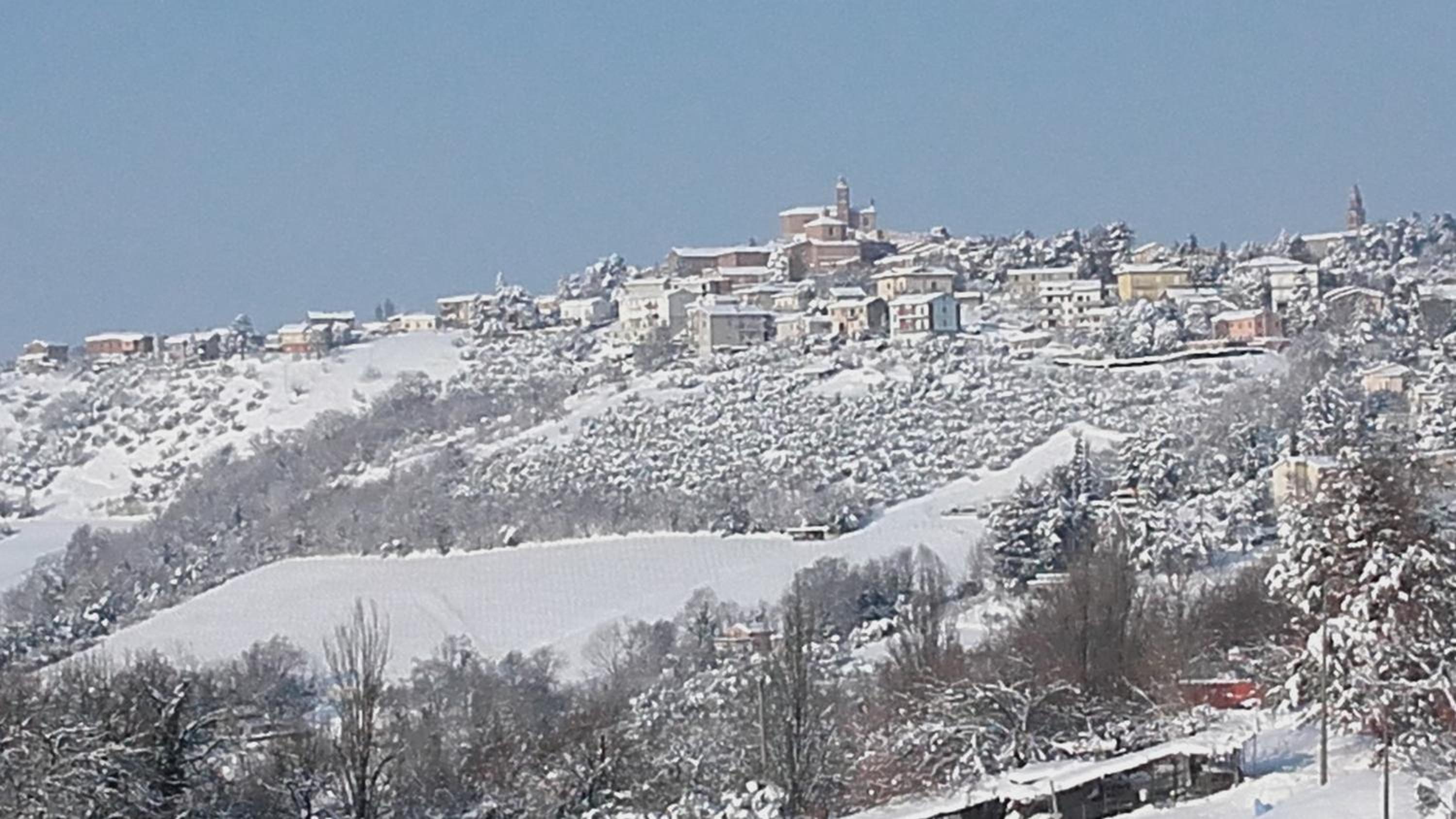 B & B Il Sicomoro photo 5