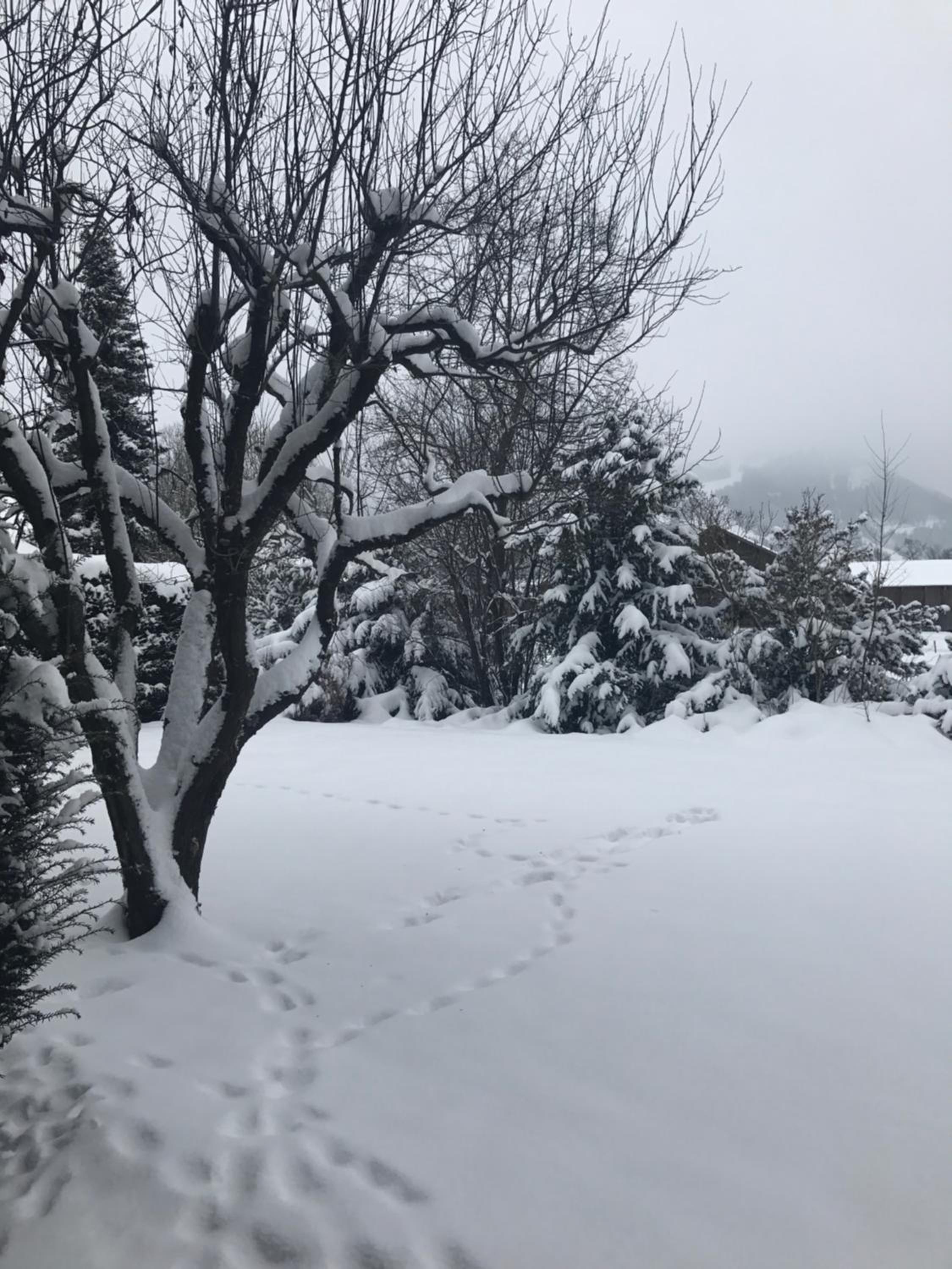 Charly Studio In Gstaad