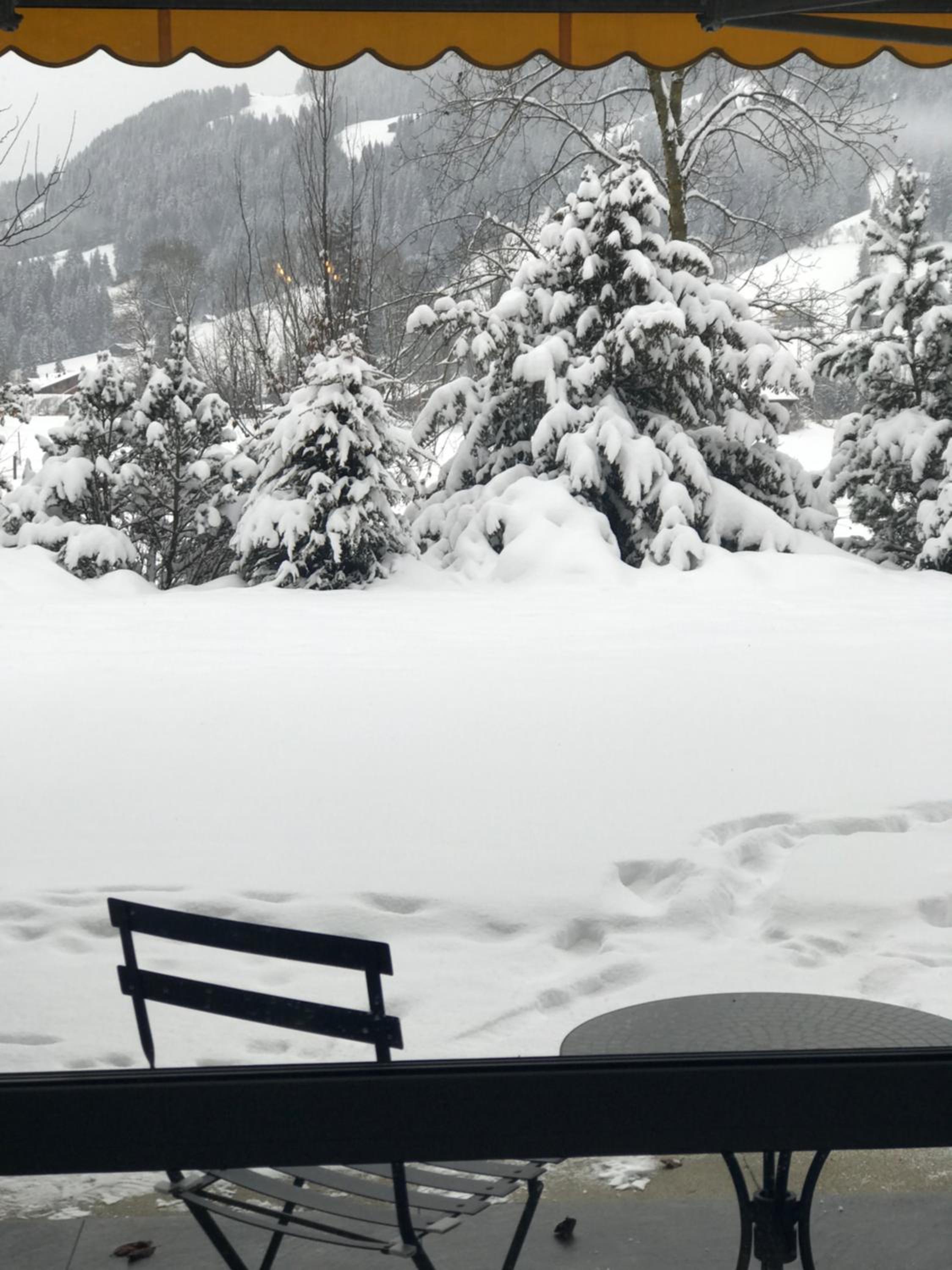 Charly Studio In Gstaad