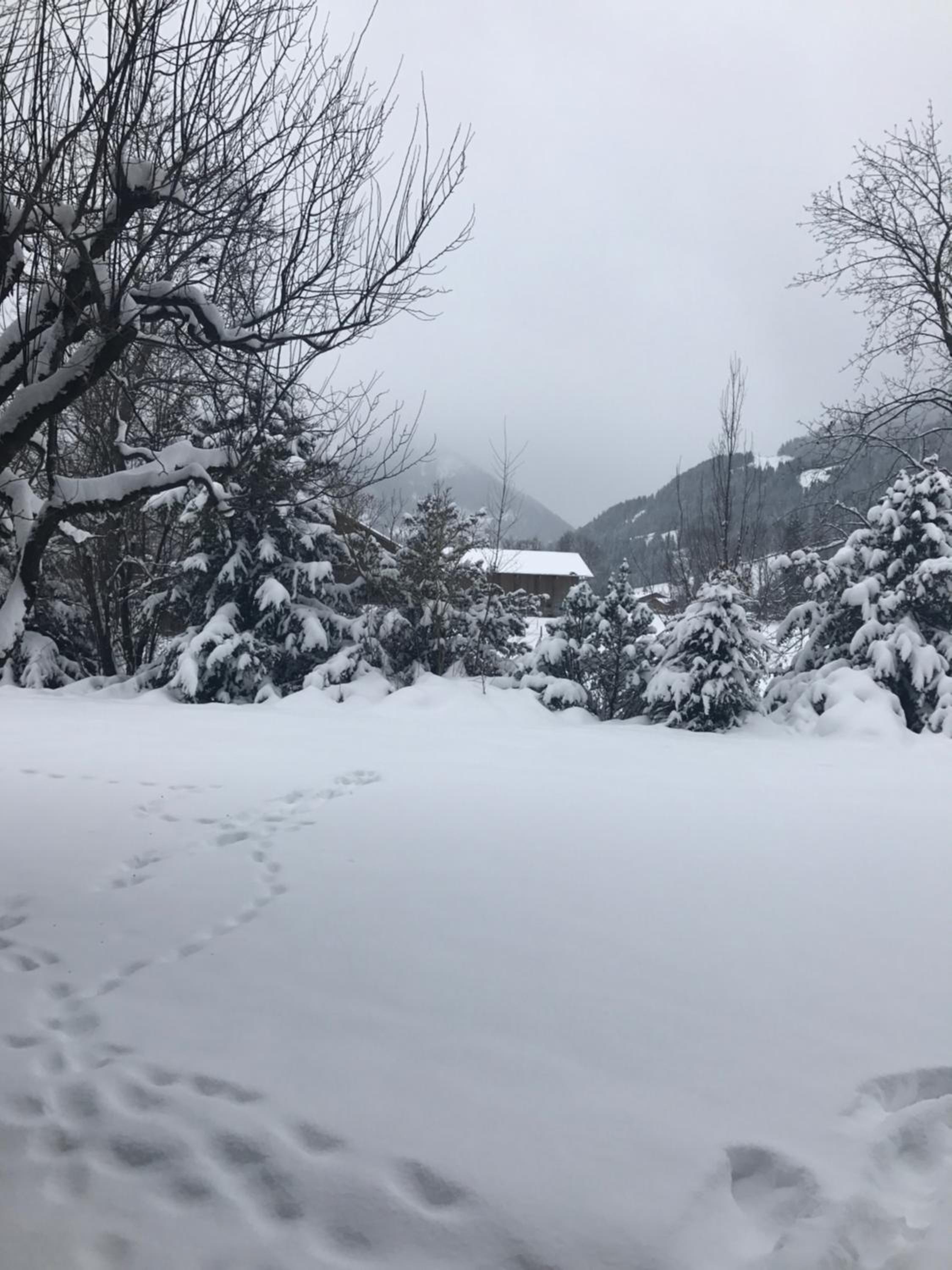 Charly Studio In Gstaad