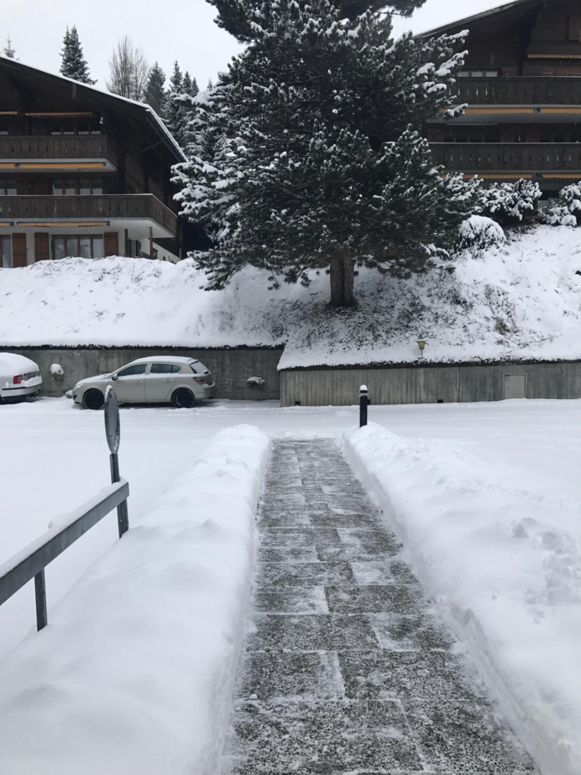 Charly Studio In Gstaad