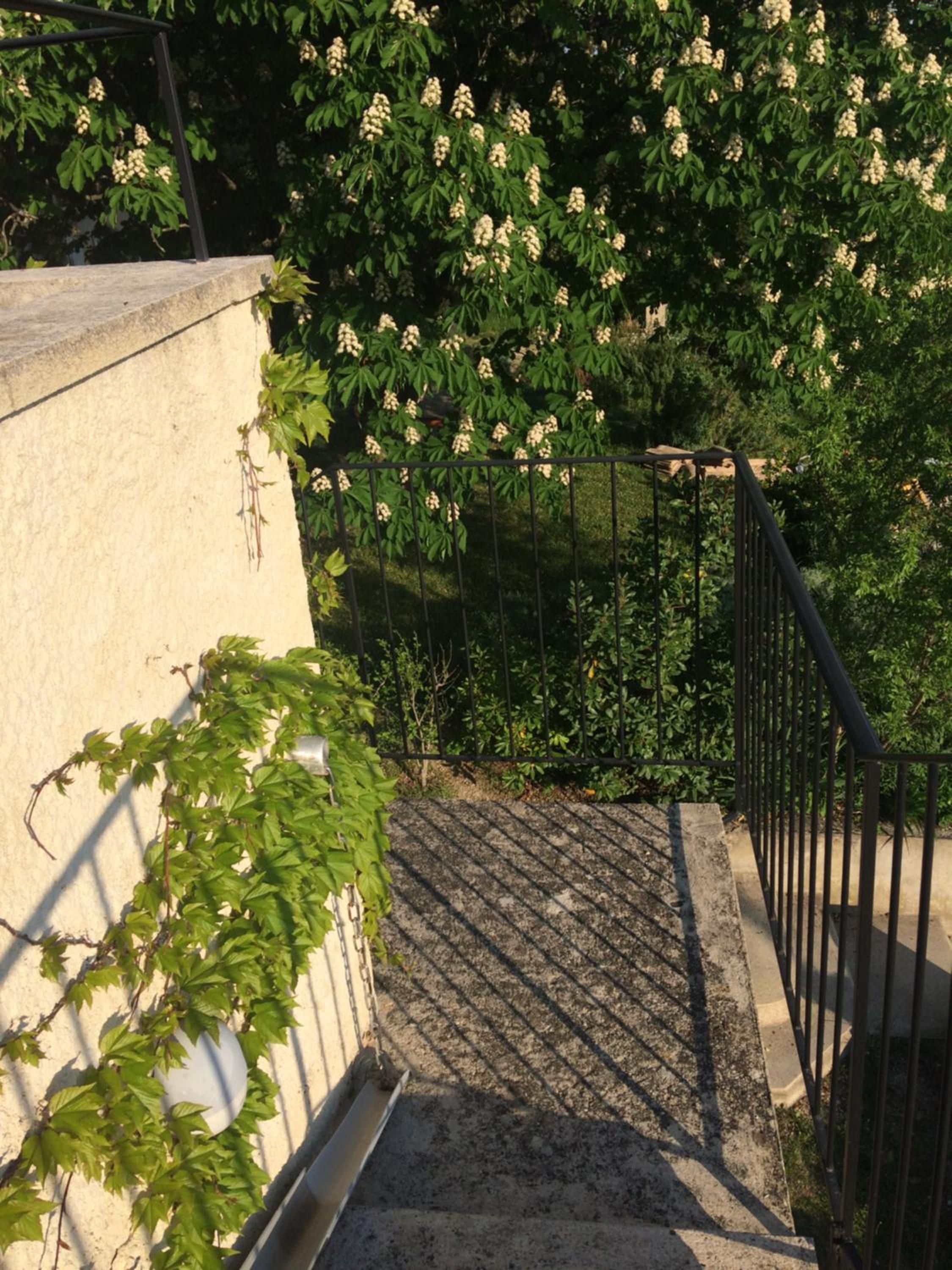Photo 52
