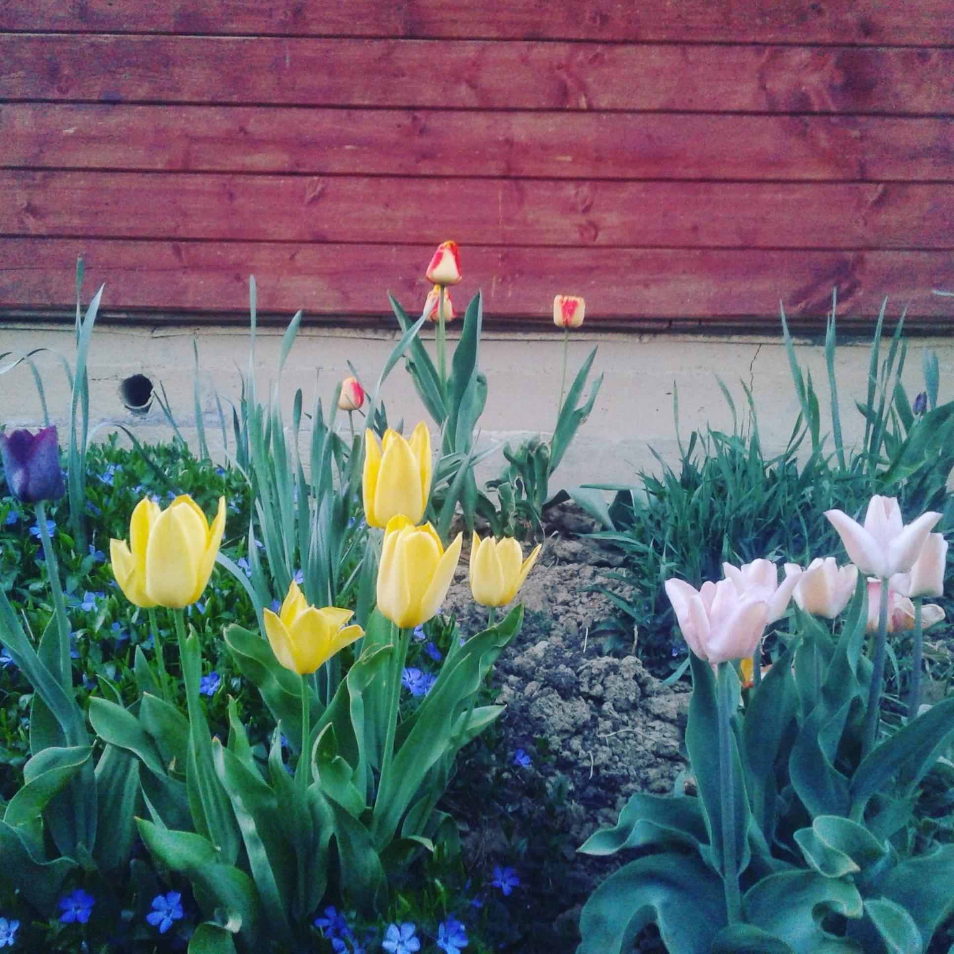 Photo 34