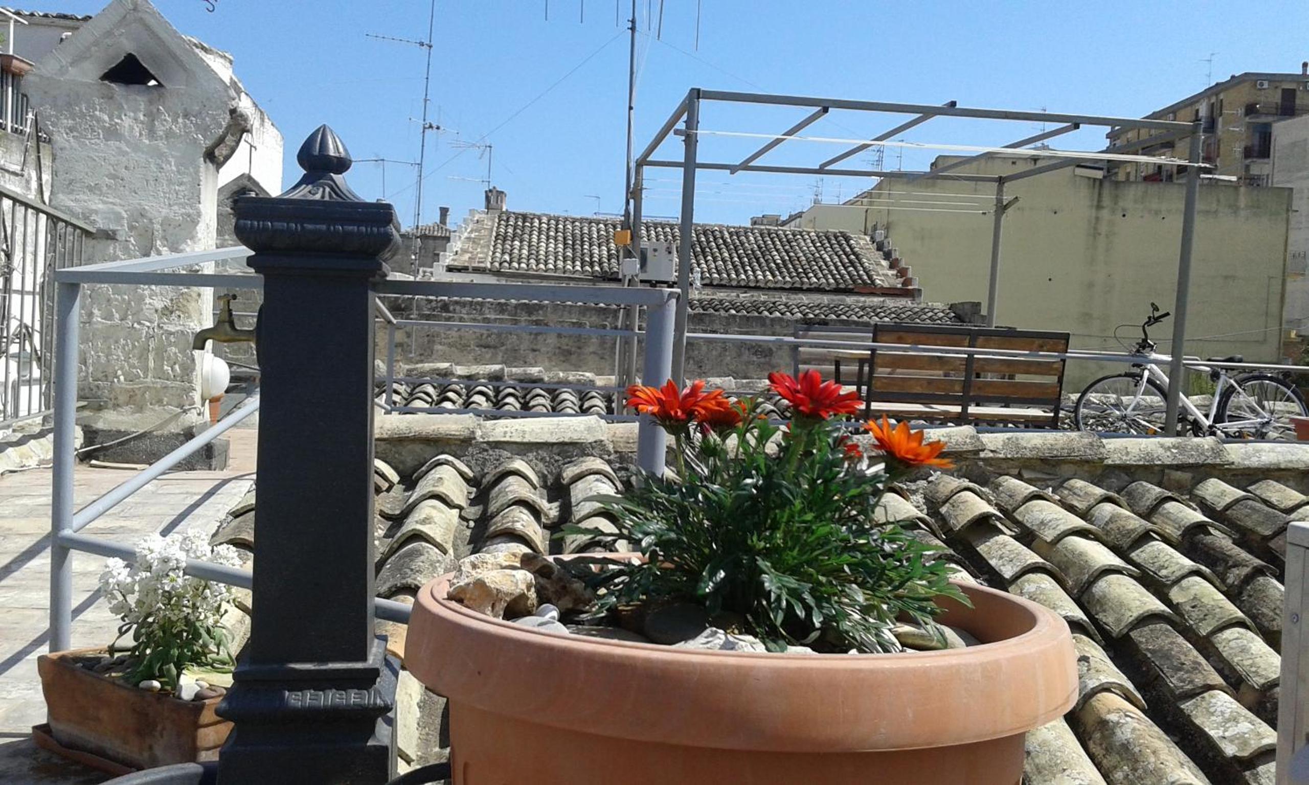 roof