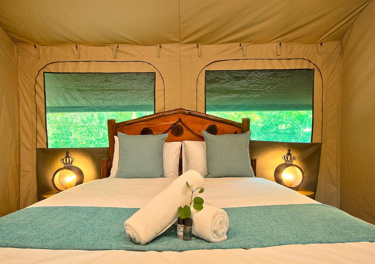 Kruger Adventure Lodge, photo 15