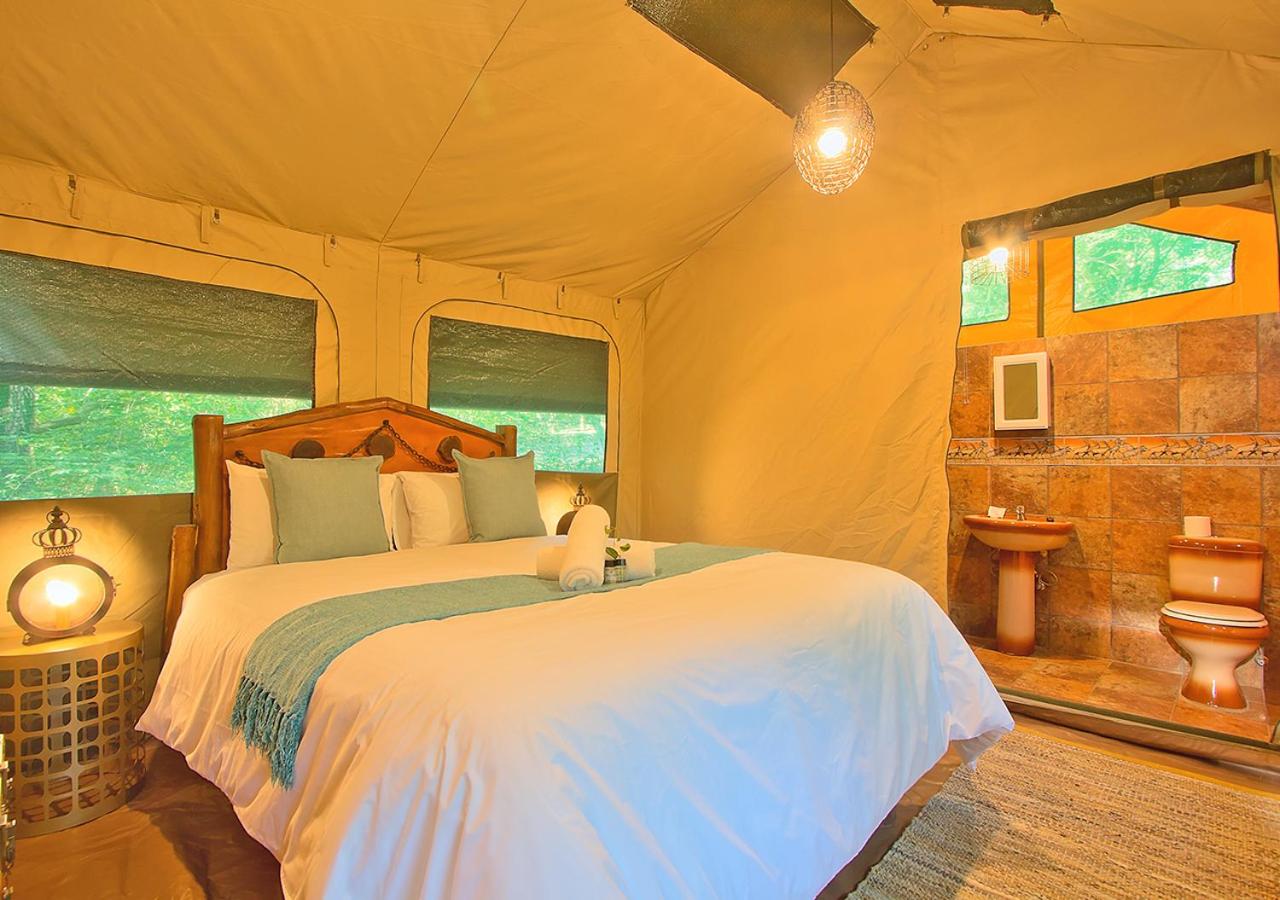 Kruger Adventure Lodge, photo 51