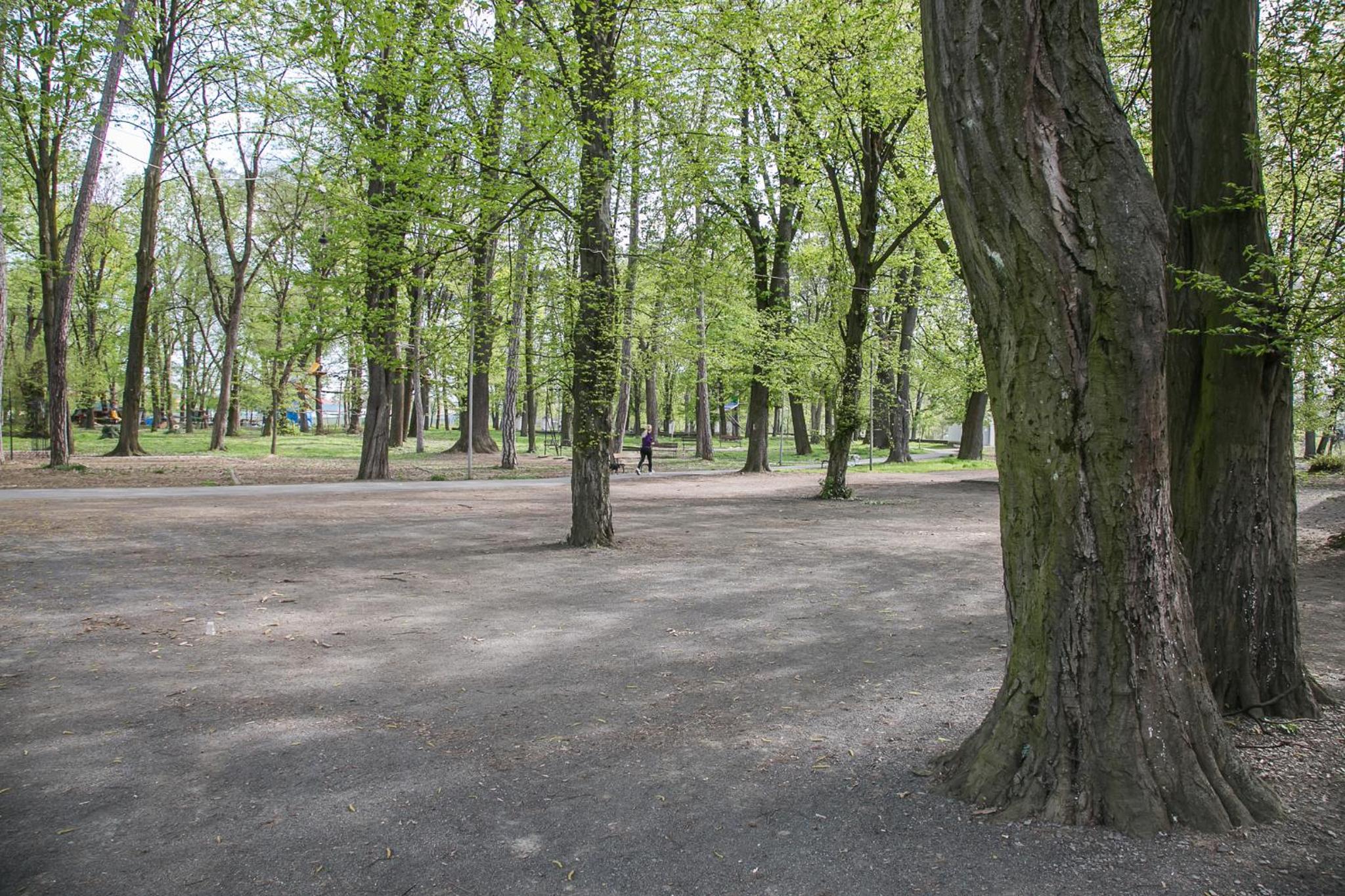 Photo 30