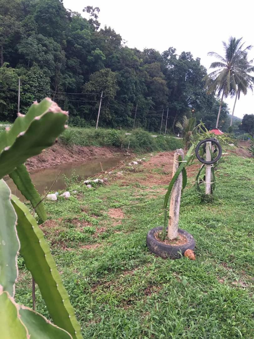 Panorama Homestay photo 7