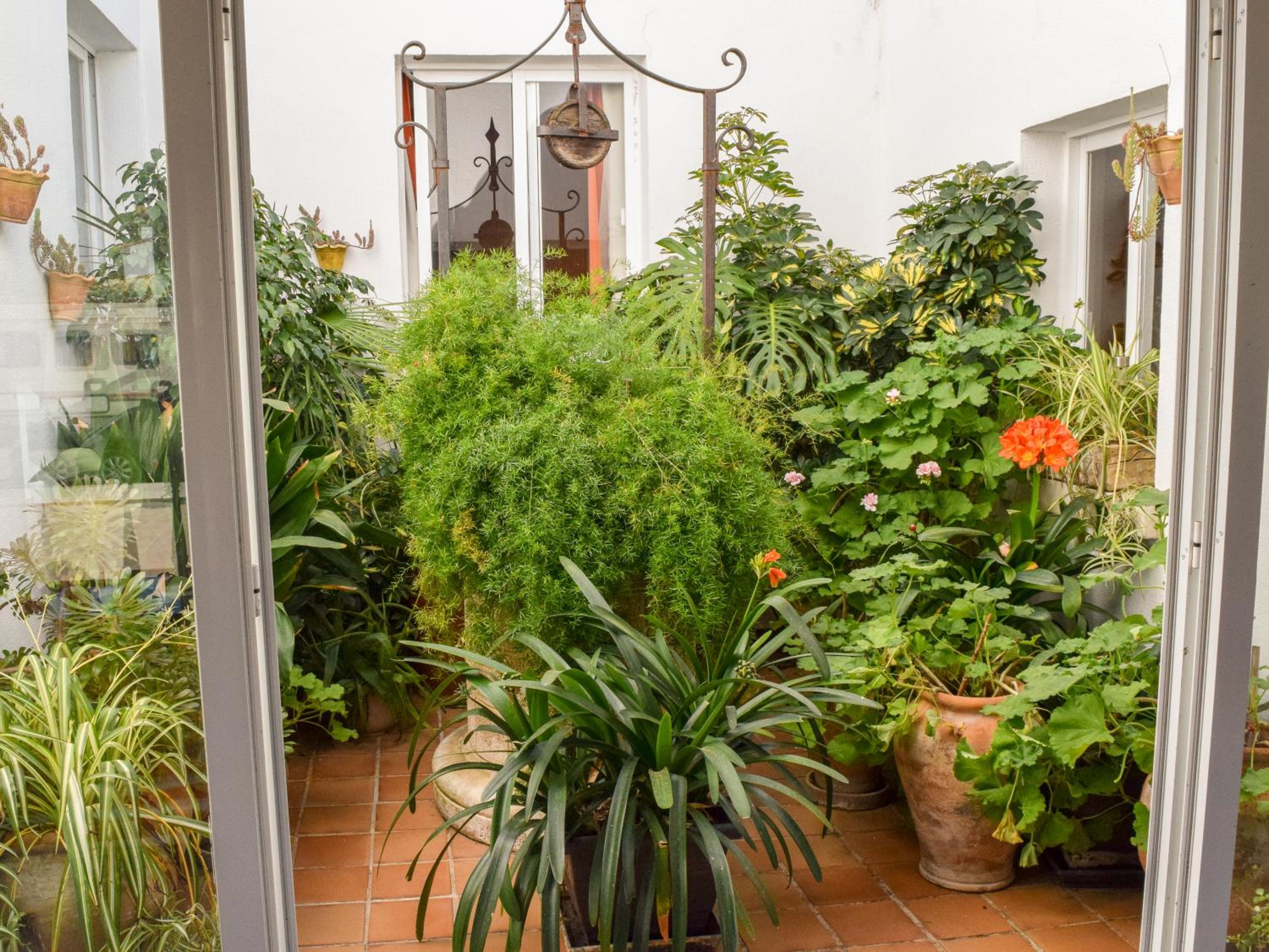 Photo 41