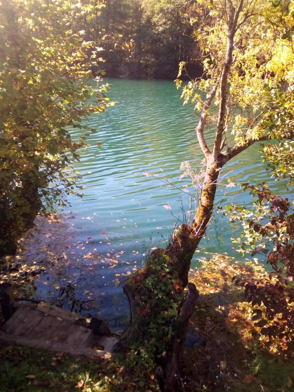 Photo 40