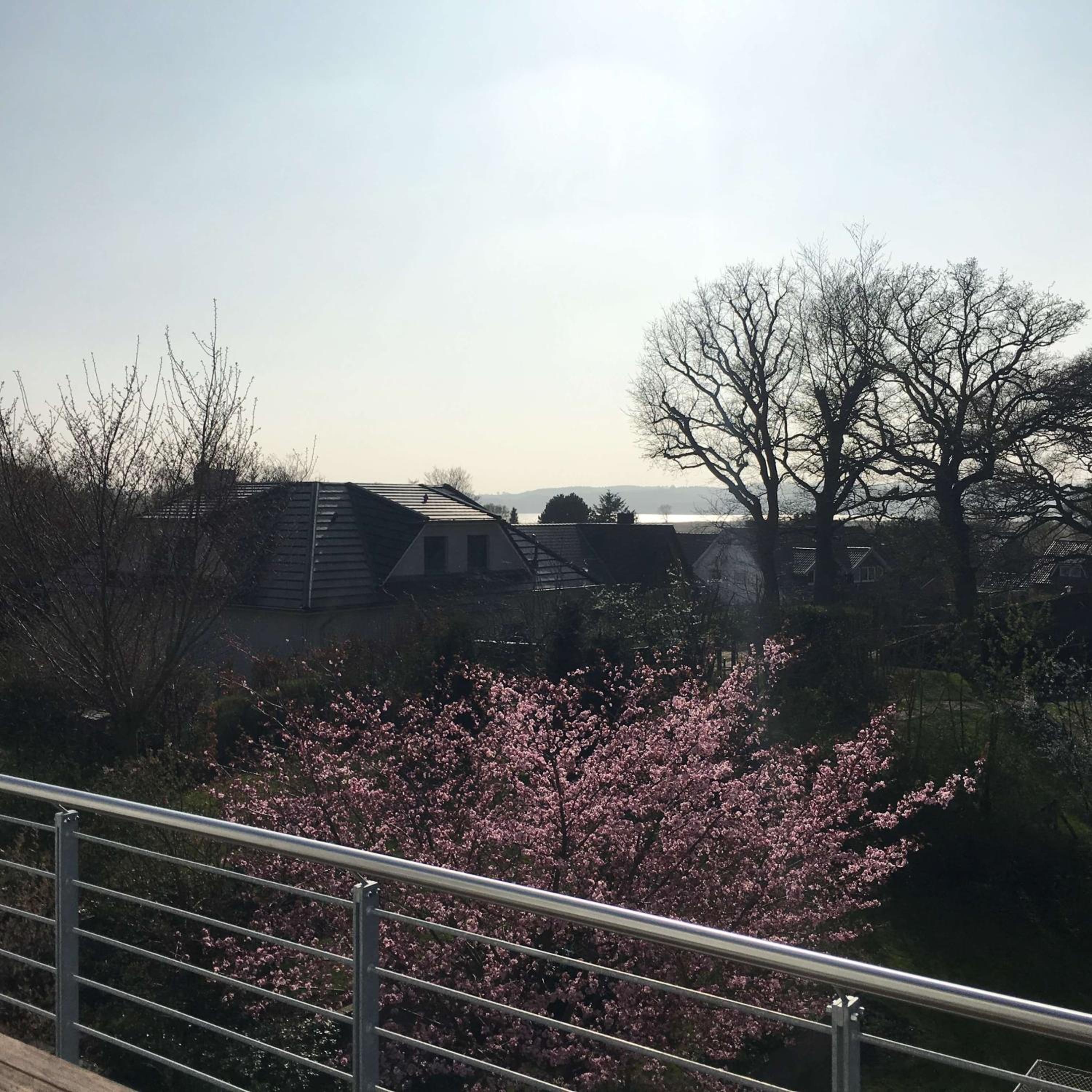 Seesucht-Hohwacht - Grosse Ferienwohnung im Beachhouse-Stil, 2 Balkone, 2 SZ und nur 300m zum Strand view 5
