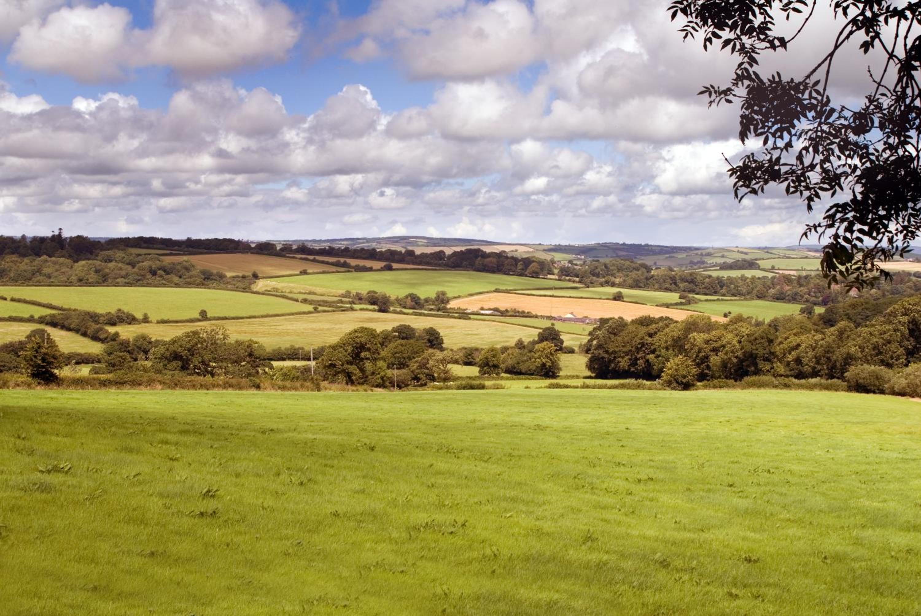 Three Gates Farm Holiday Cottages view 2