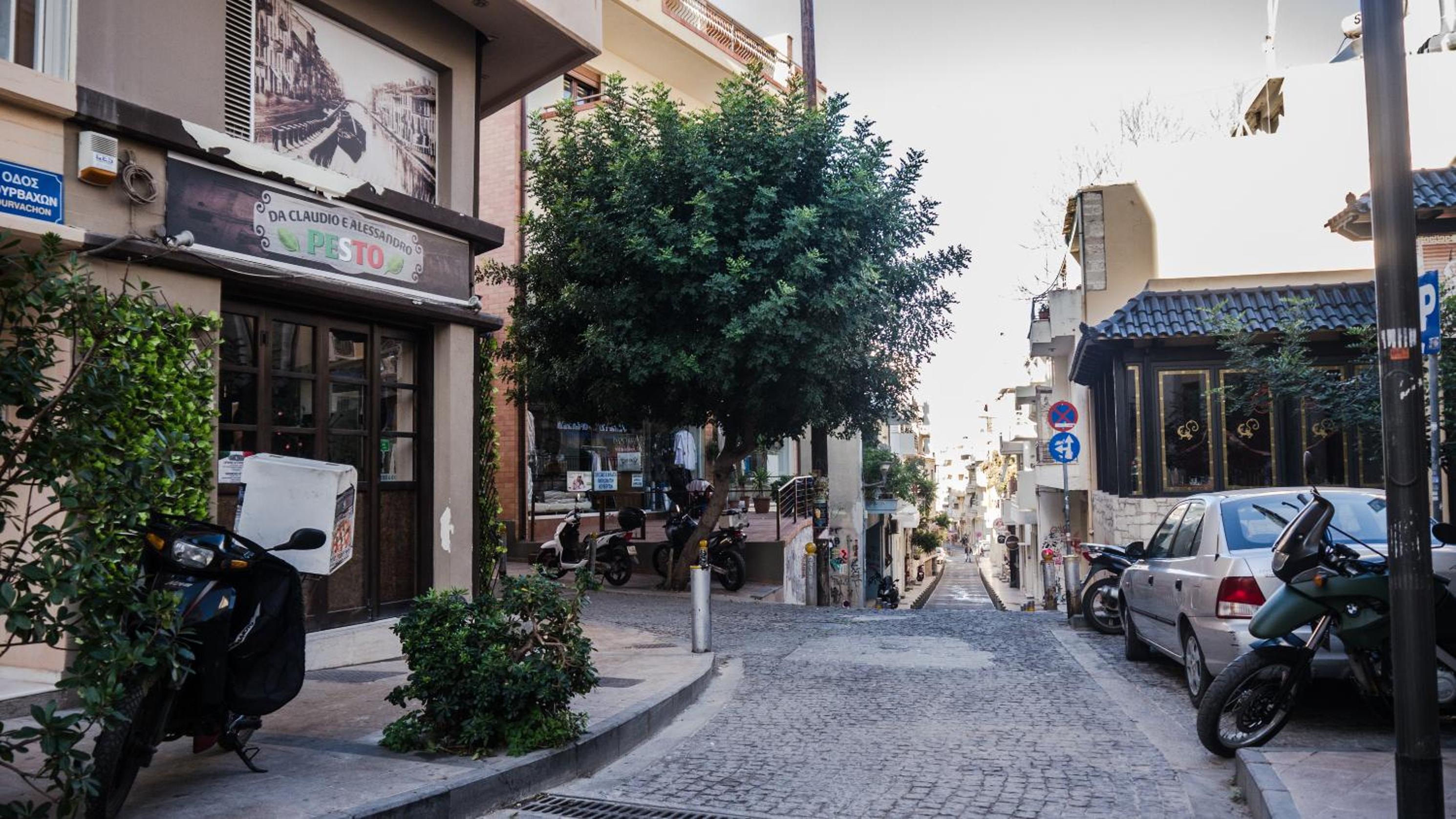 Ellie Studio photo 5