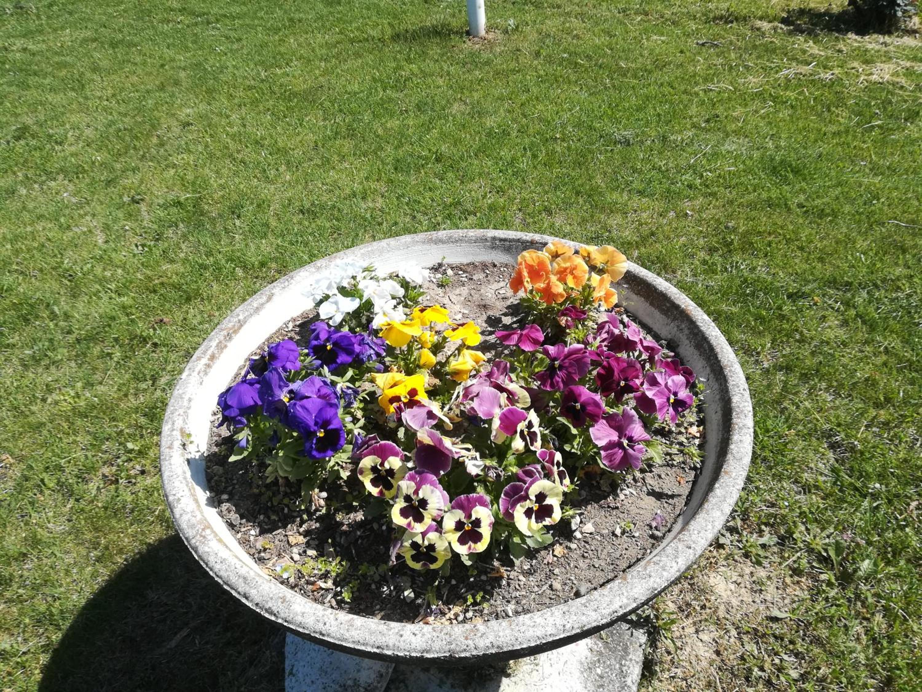 Photo 15