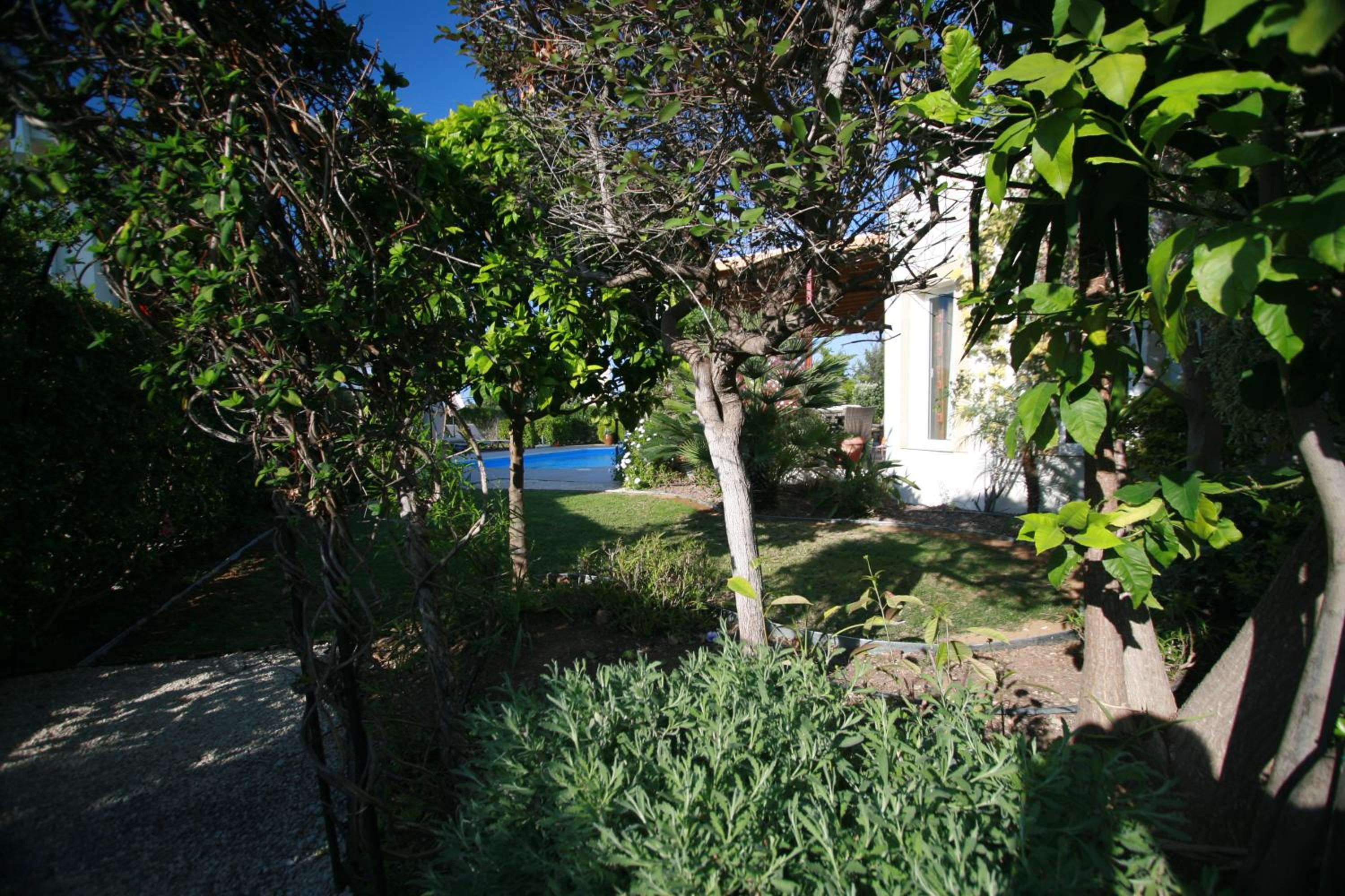Photo 45
