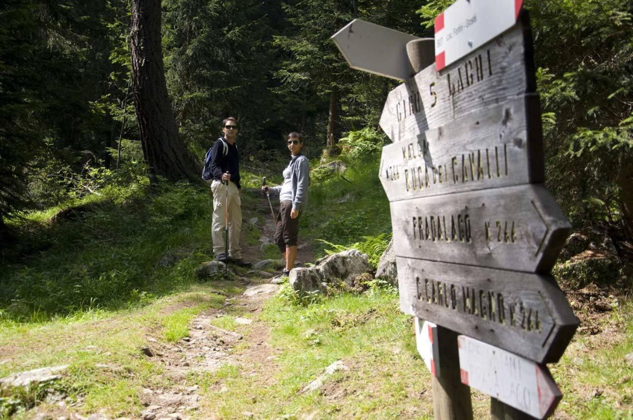 Rifugio Lago Nambino view 3