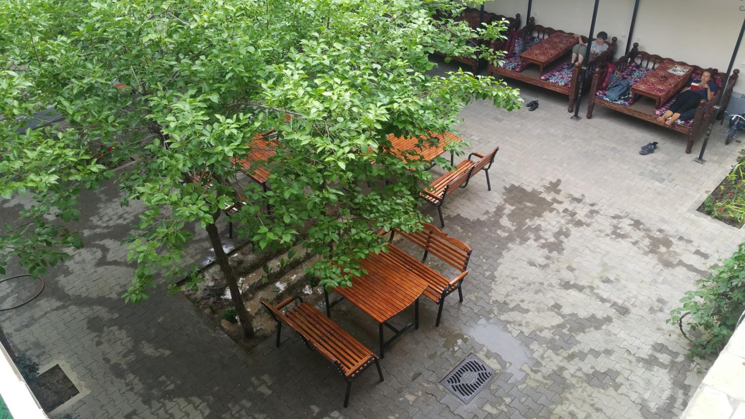 Photo 15