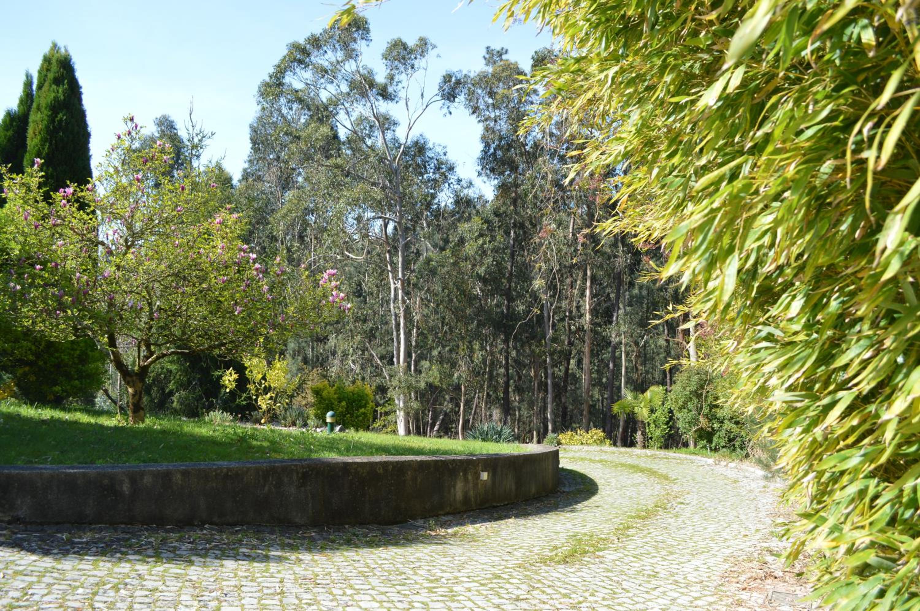 Bamboo Guest House view 2