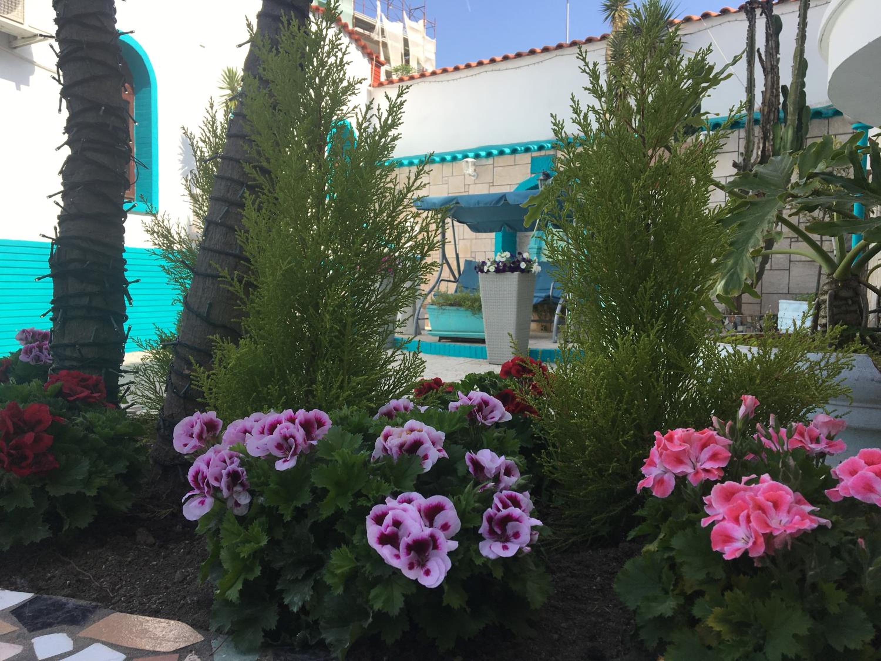 Photo 18
