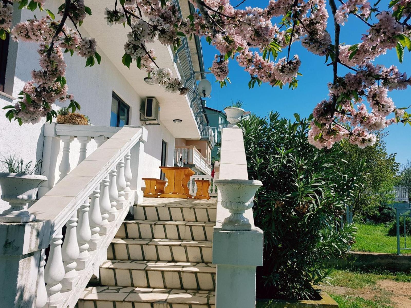 Apartment Verda view 4