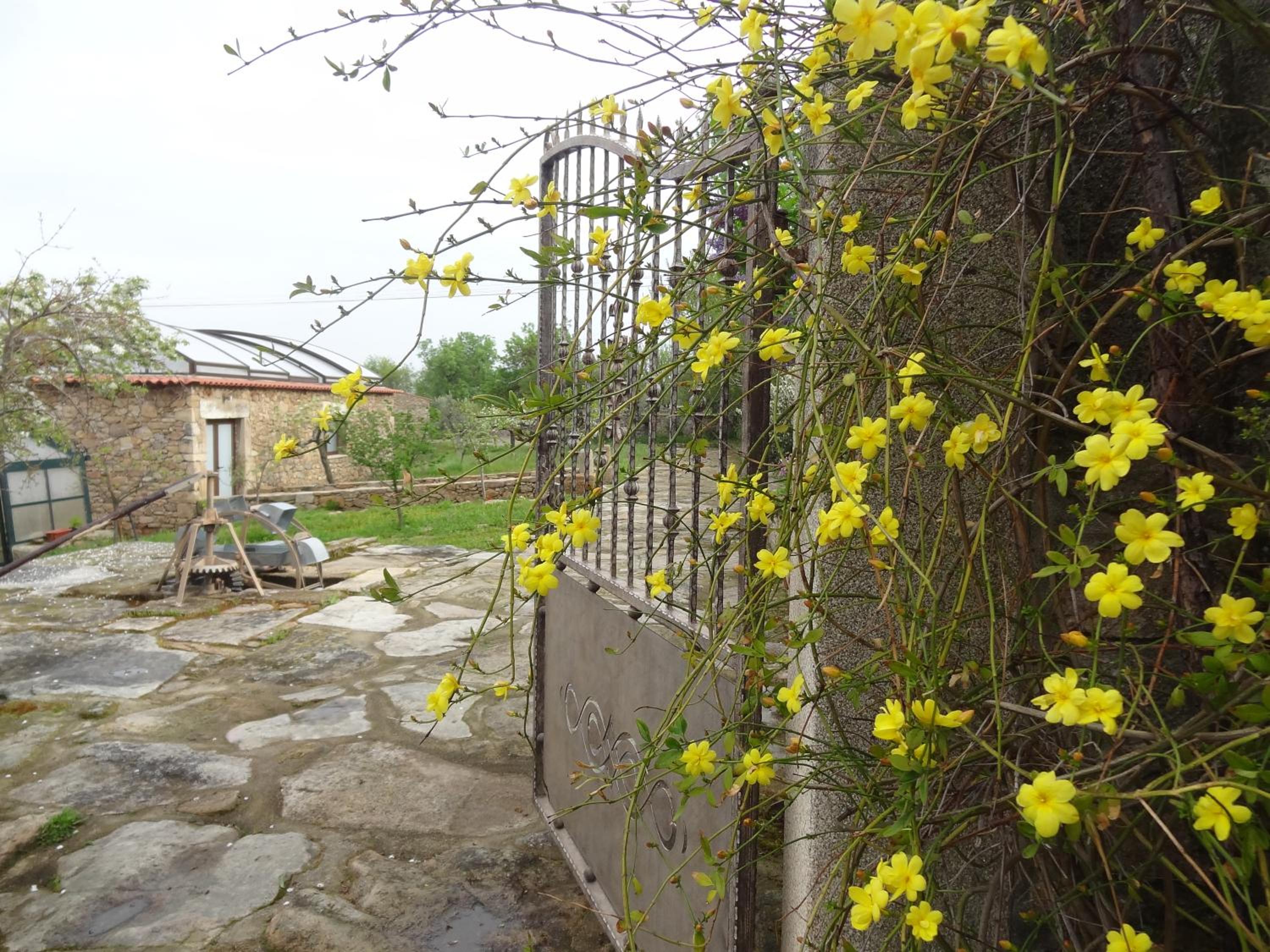 Casas do Juizo - Country Houses