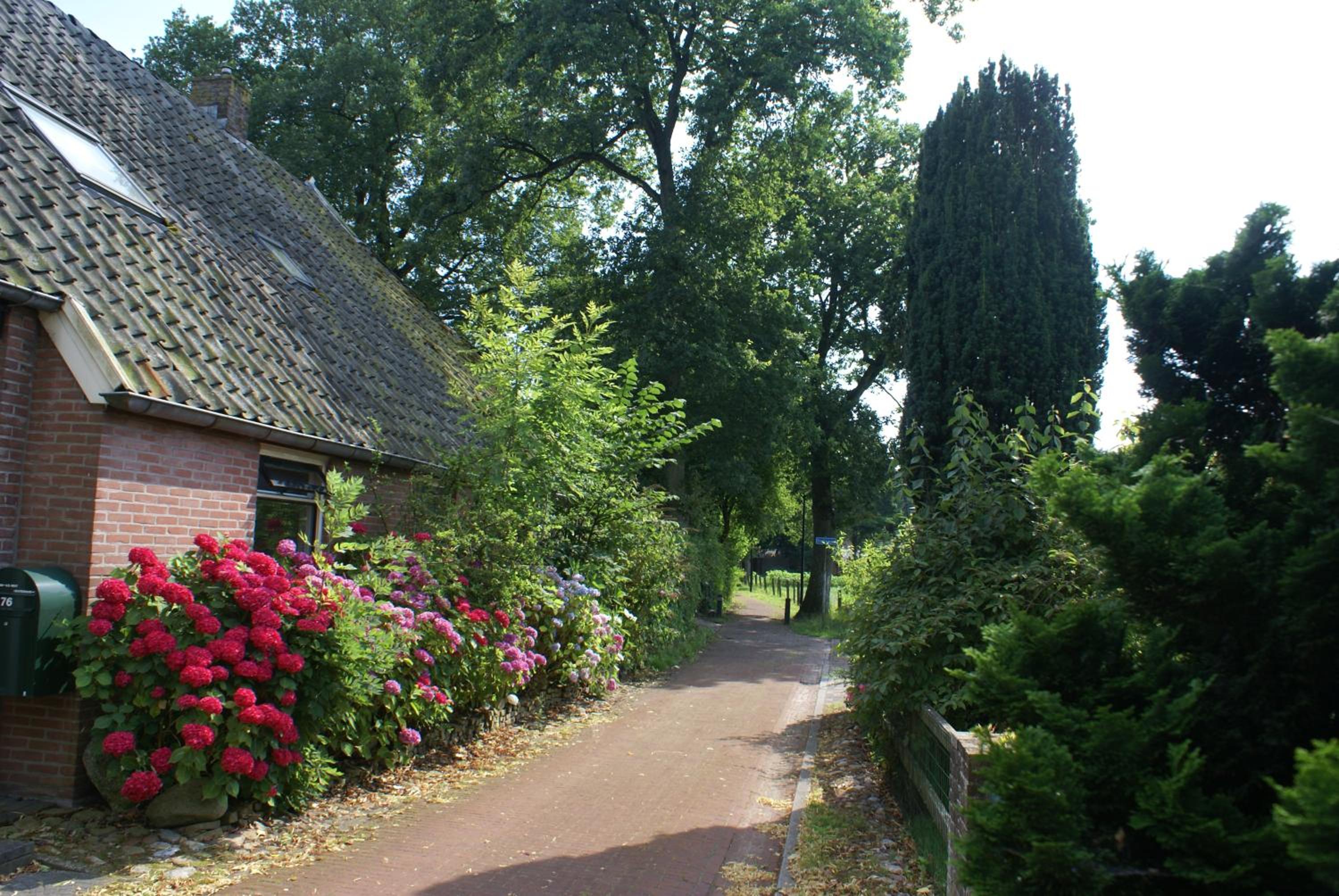 Photo 48