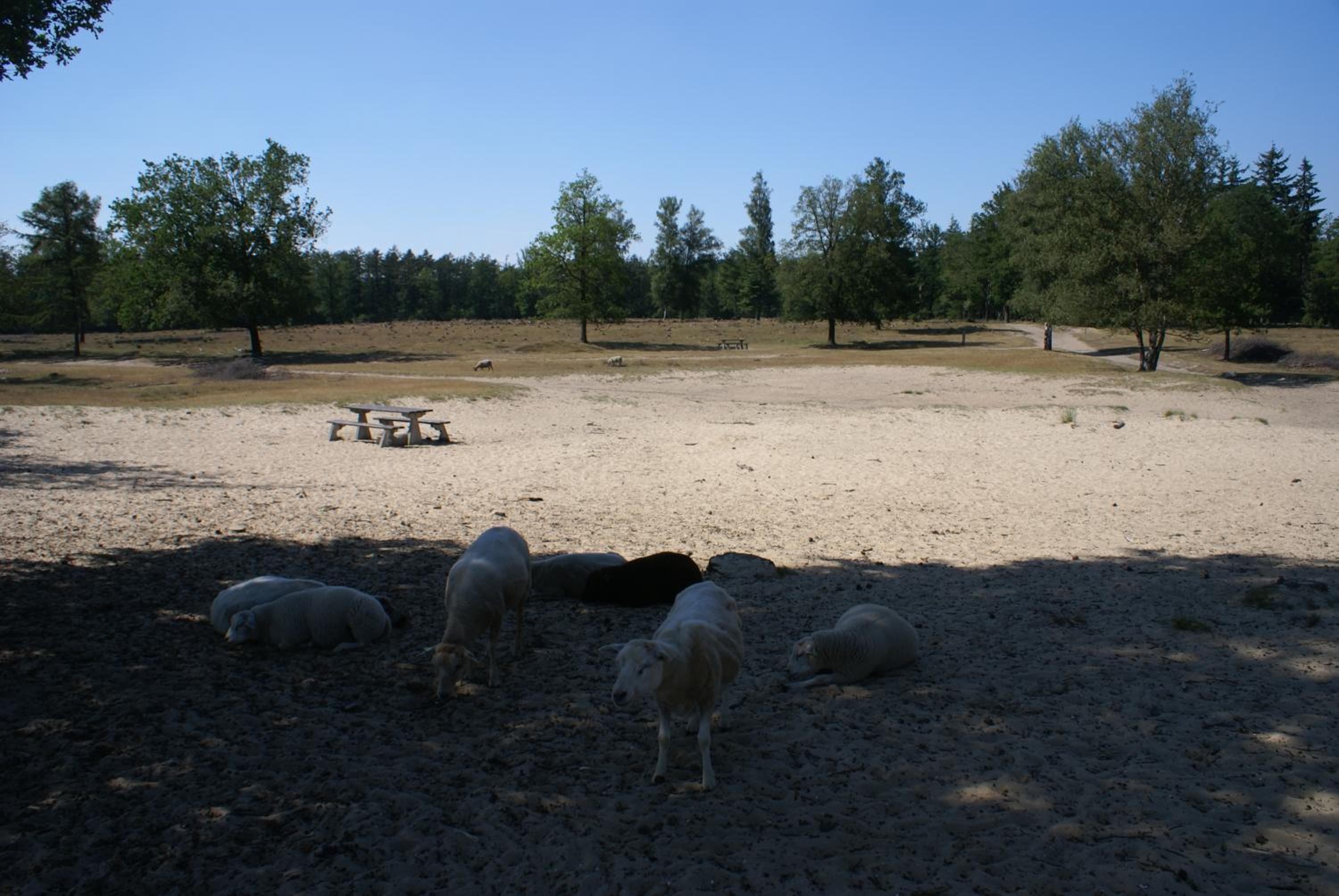 Photo 45