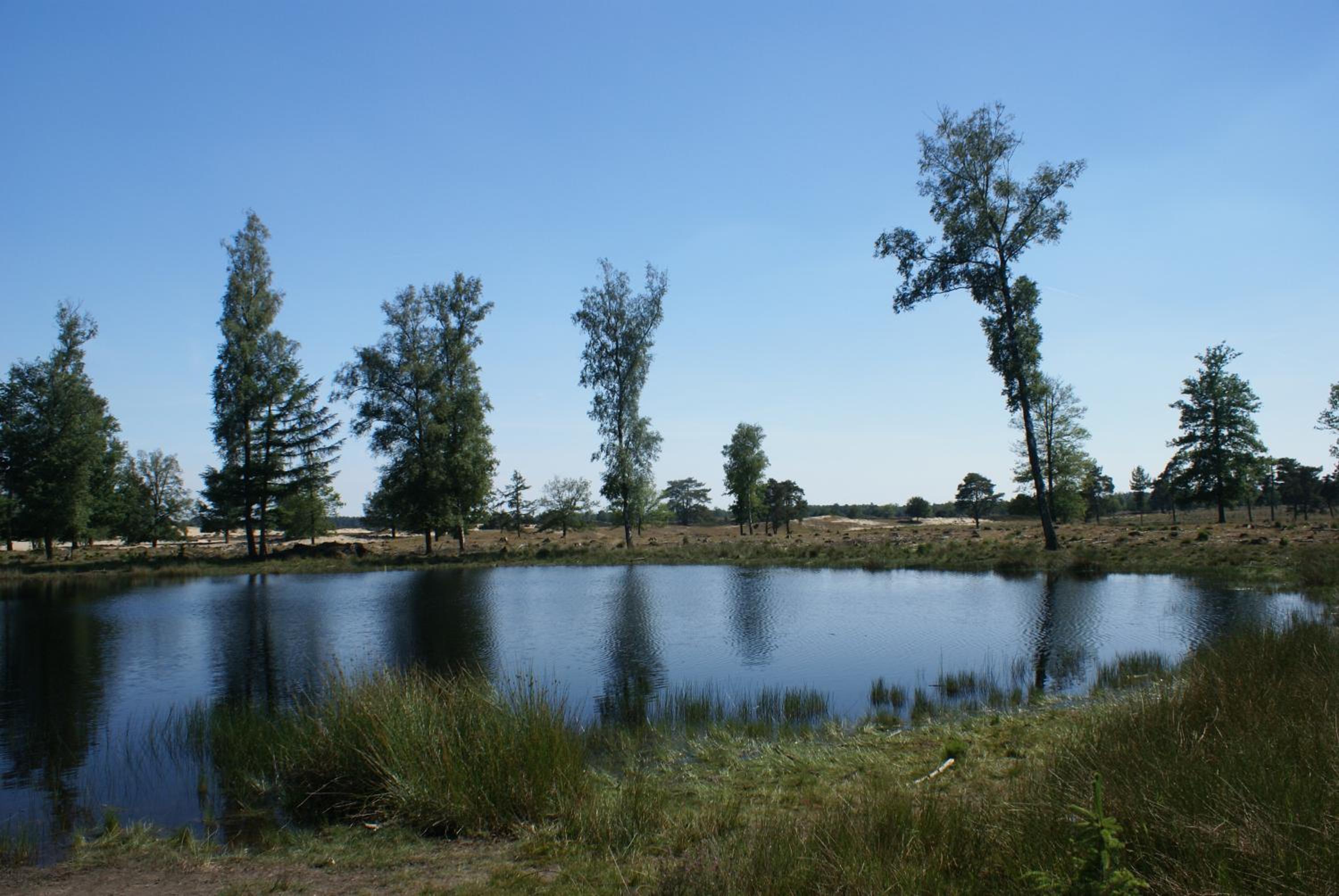 Photo 26