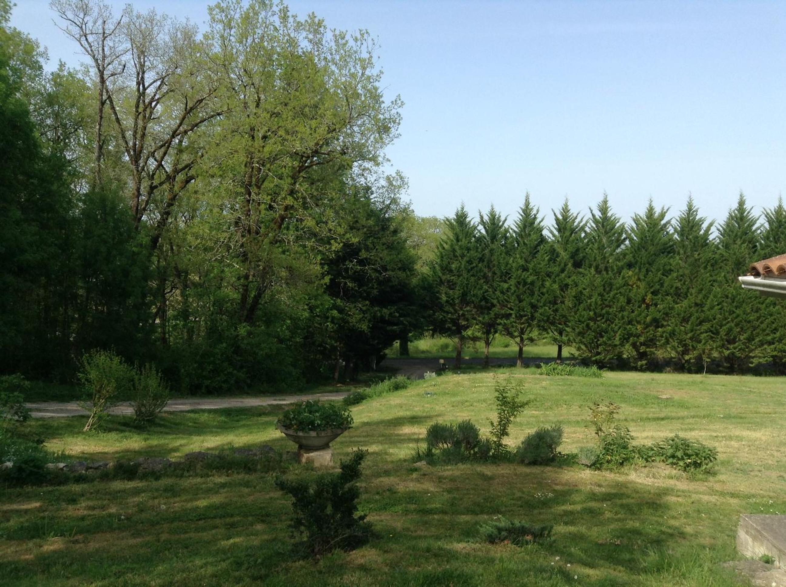 Photo 17