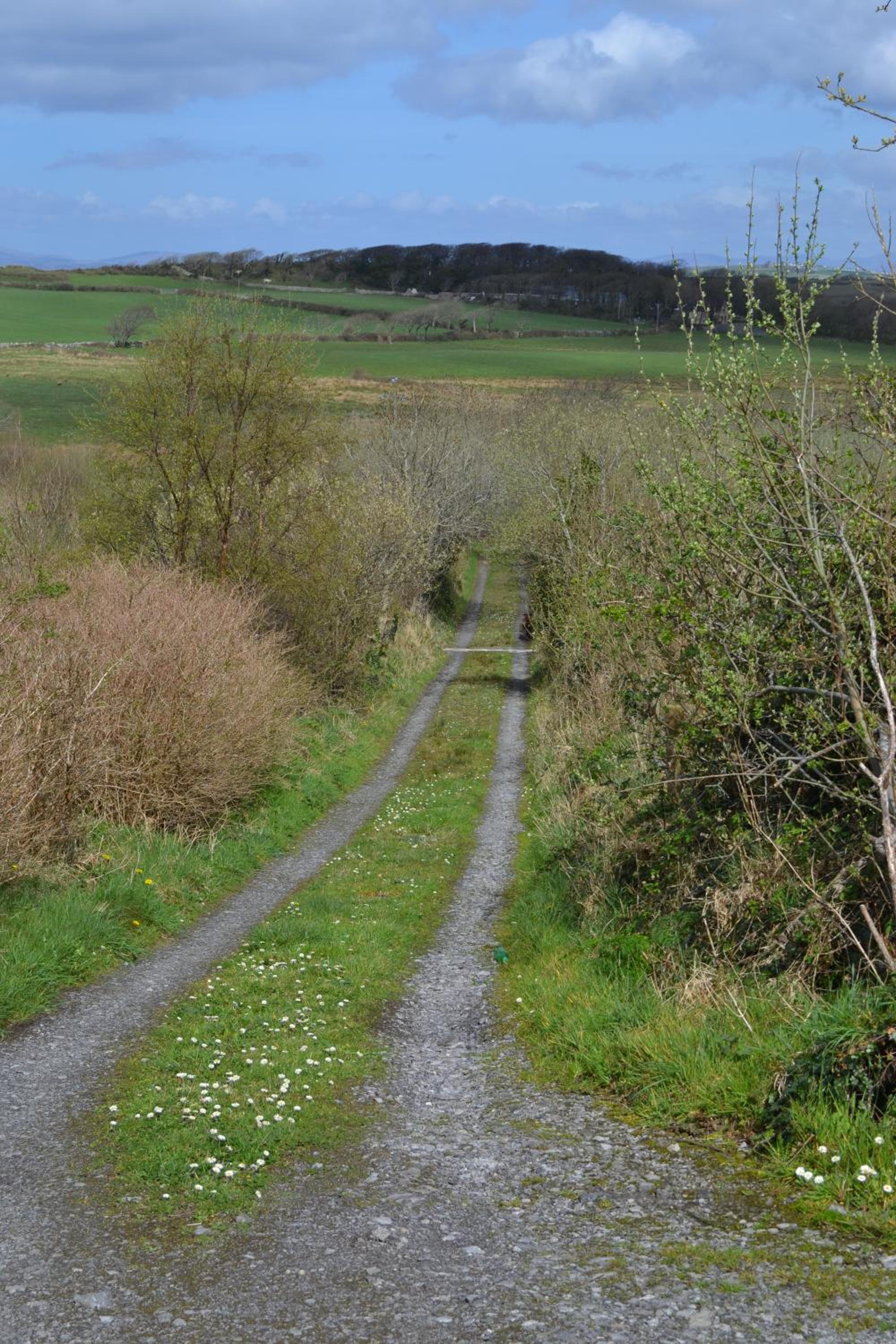 Marsh Cottage F91 N4A9 view 4