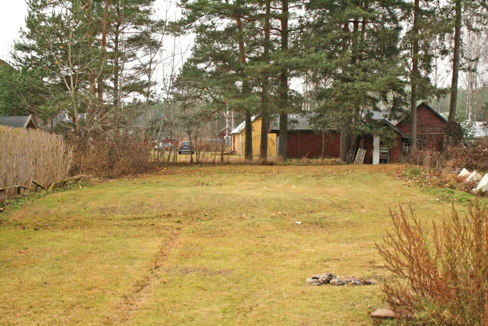 Photo 7
