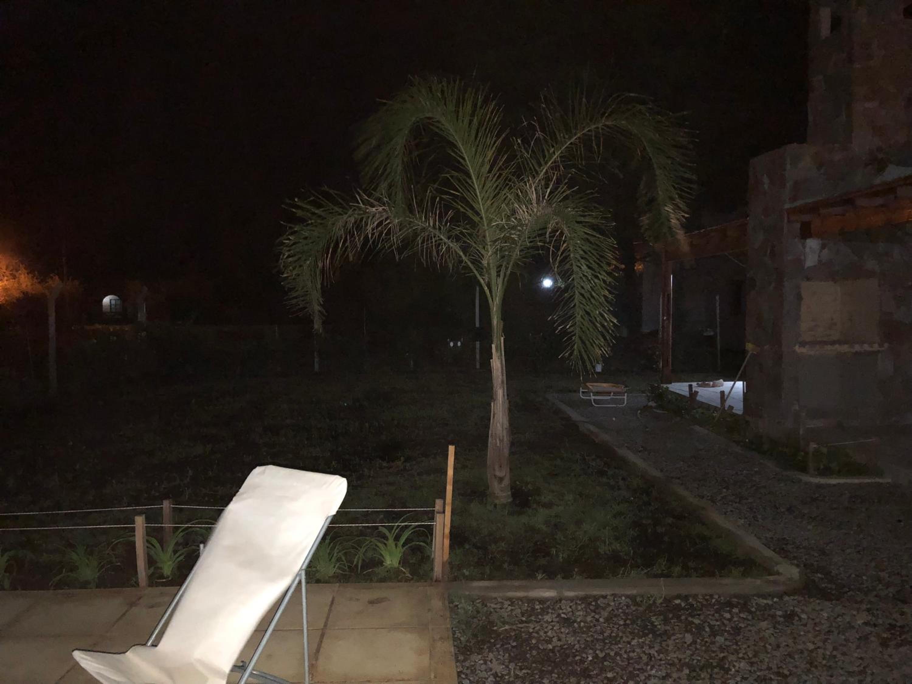 El esparto