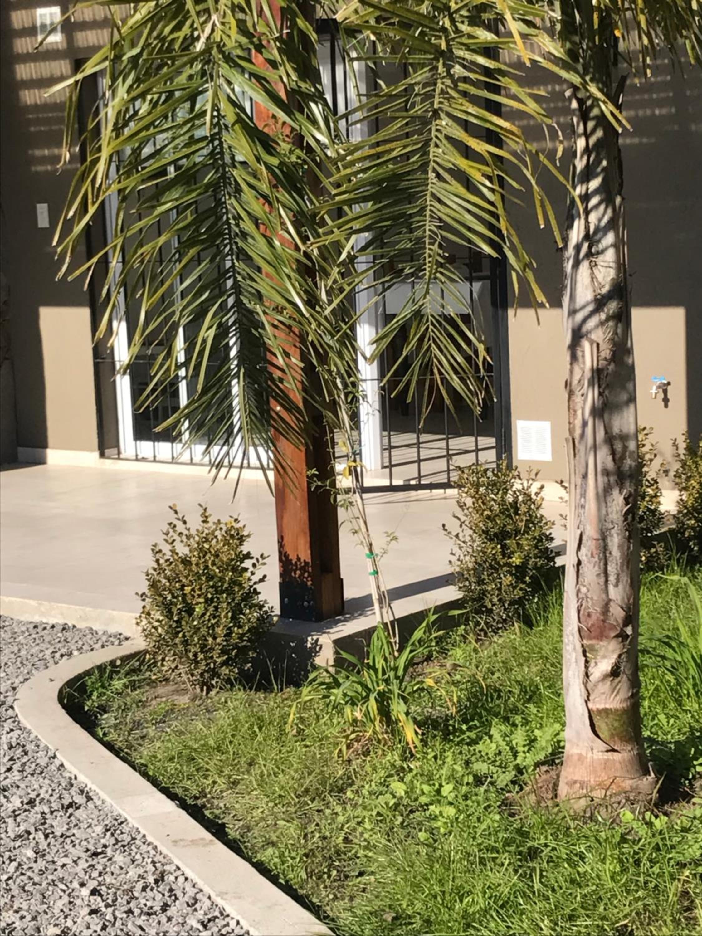 El esparto
