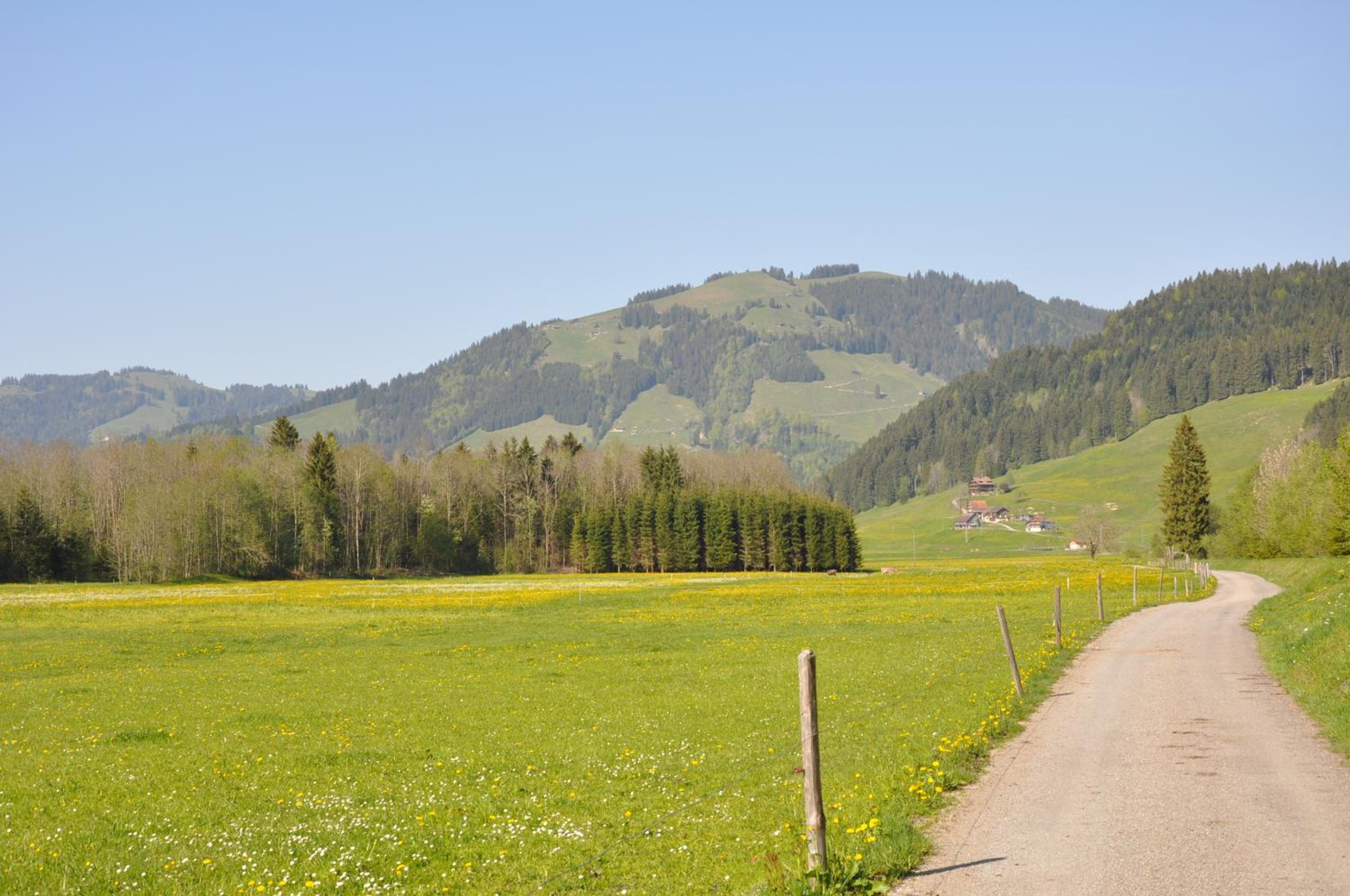Photo 24