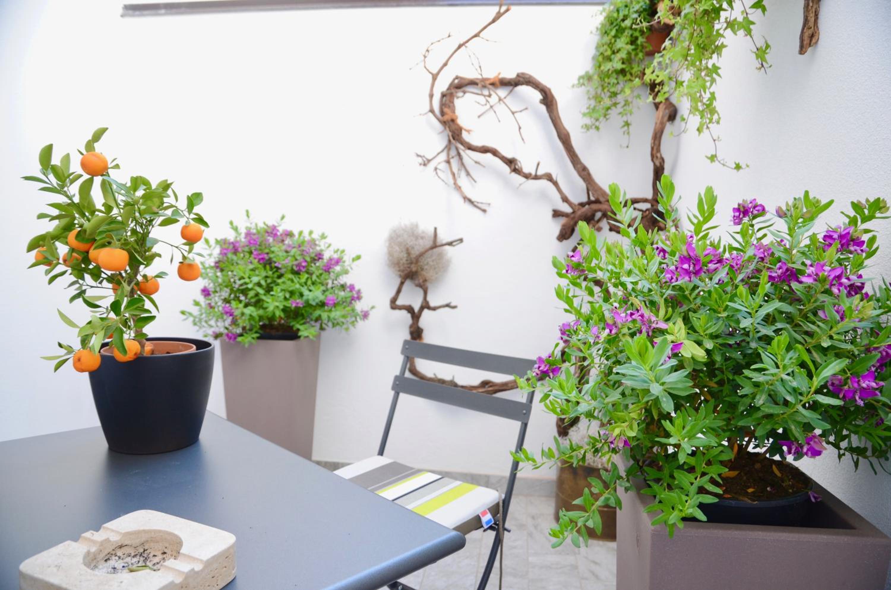 My Home in Bologna - La Rossa - Image 2