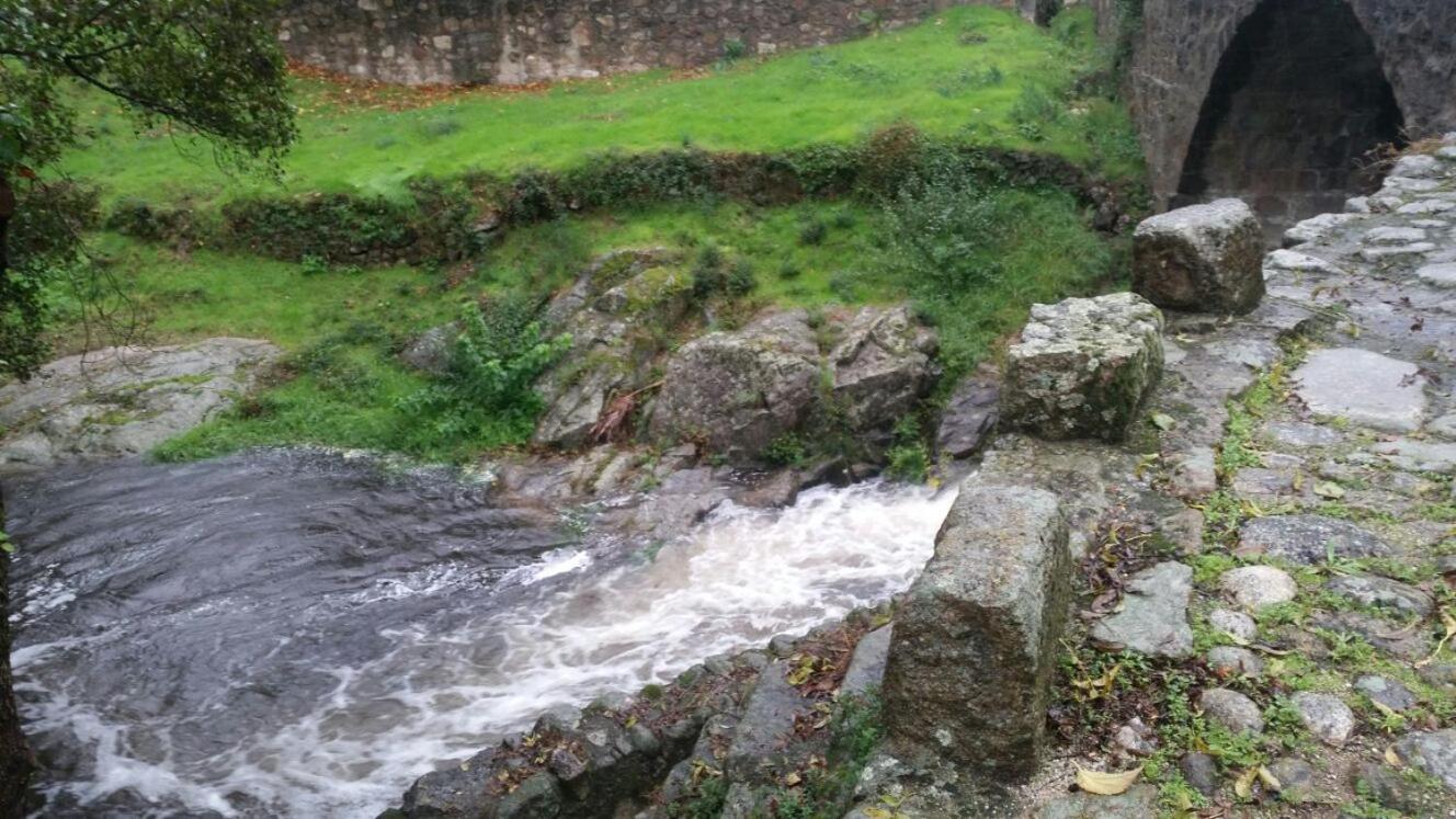 Photo 10