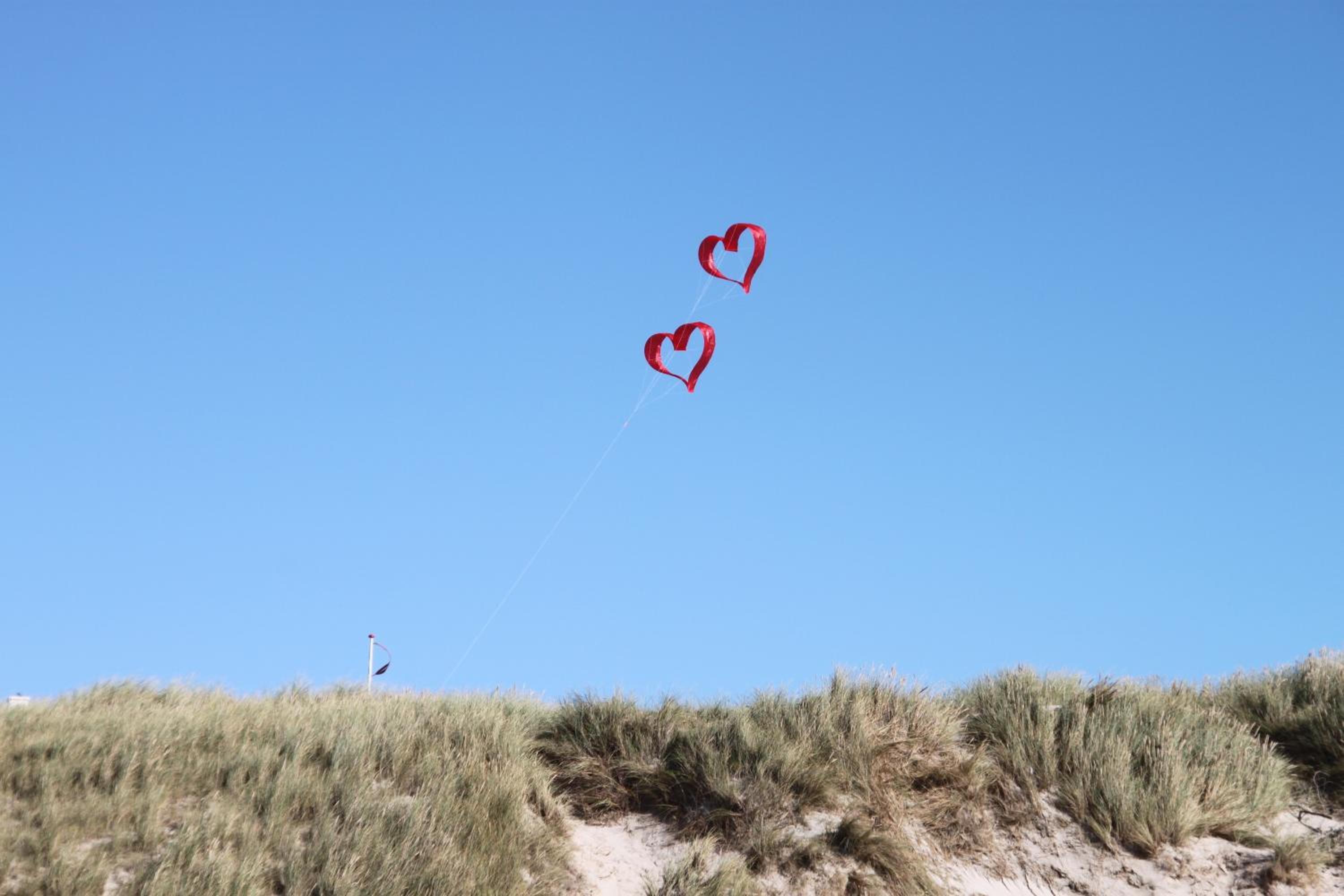 Het Dobbertje, charmant houten huisje view 5