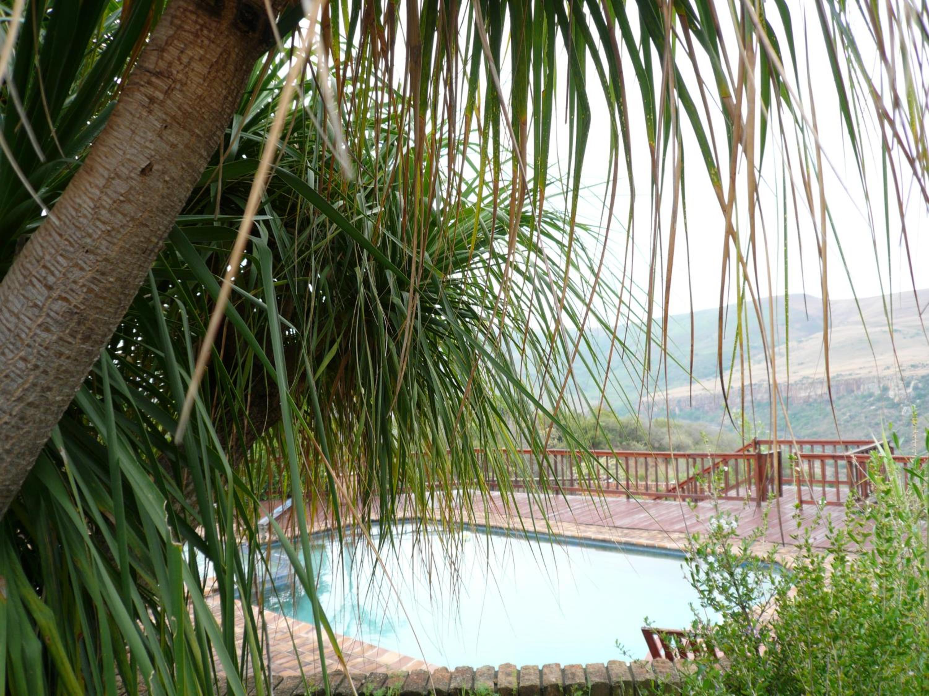 Acra-Retreat Mountain View Lodge, photo 89
