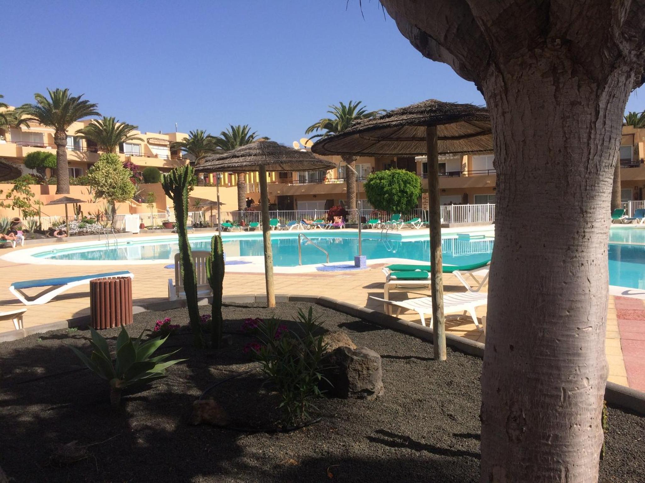 Photo 69