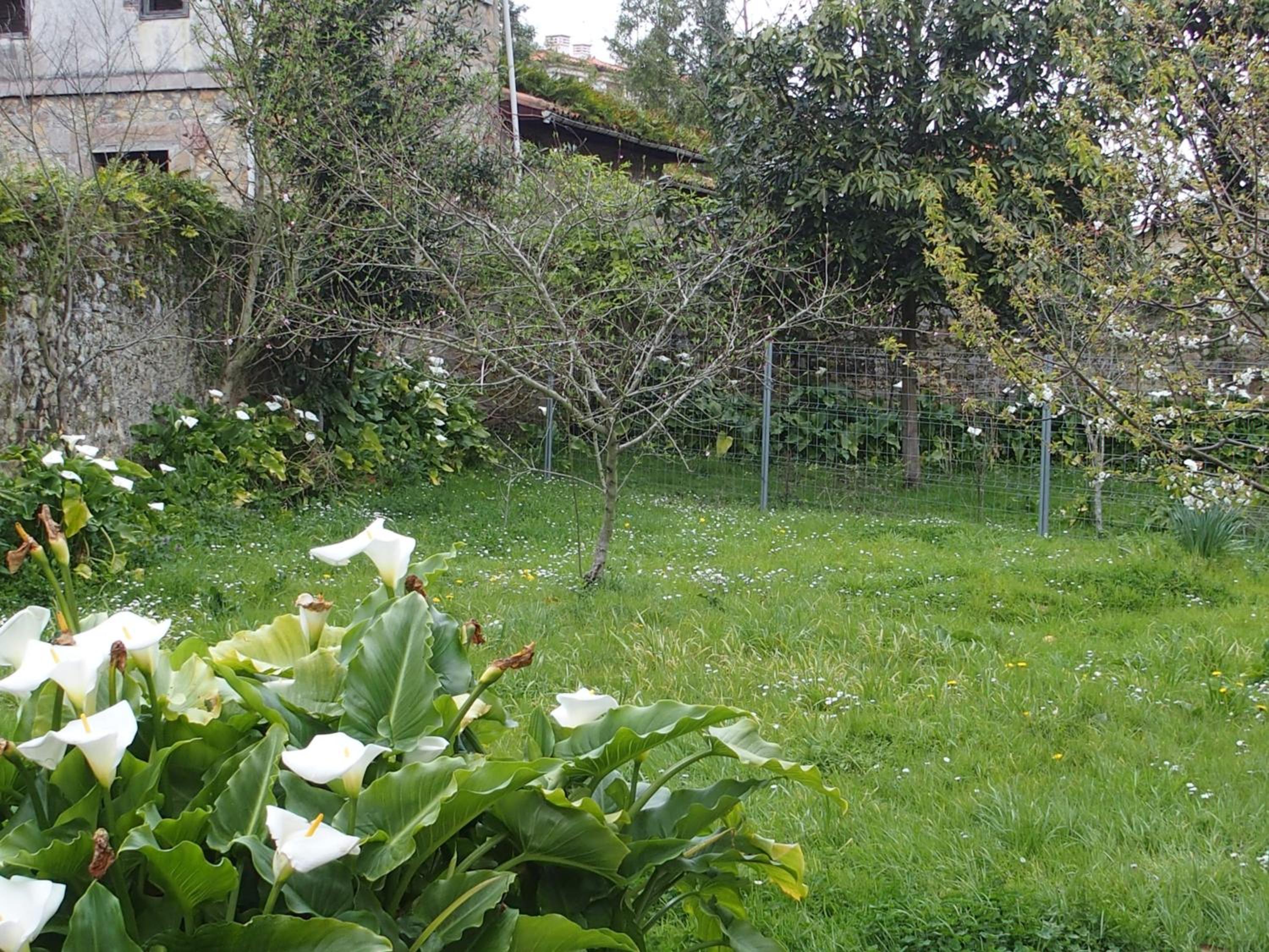 La Nogalera