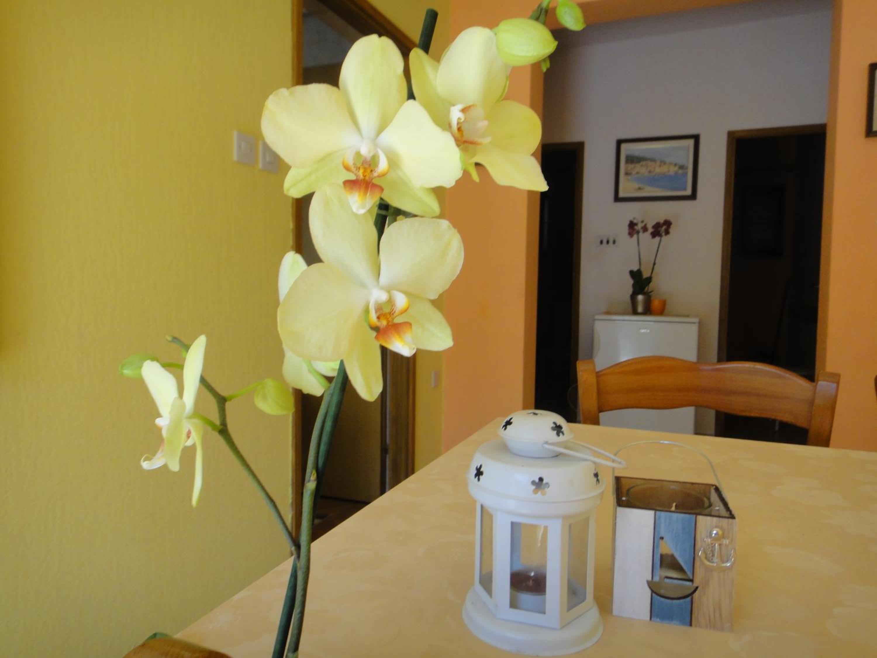 Apartman Vera view 3