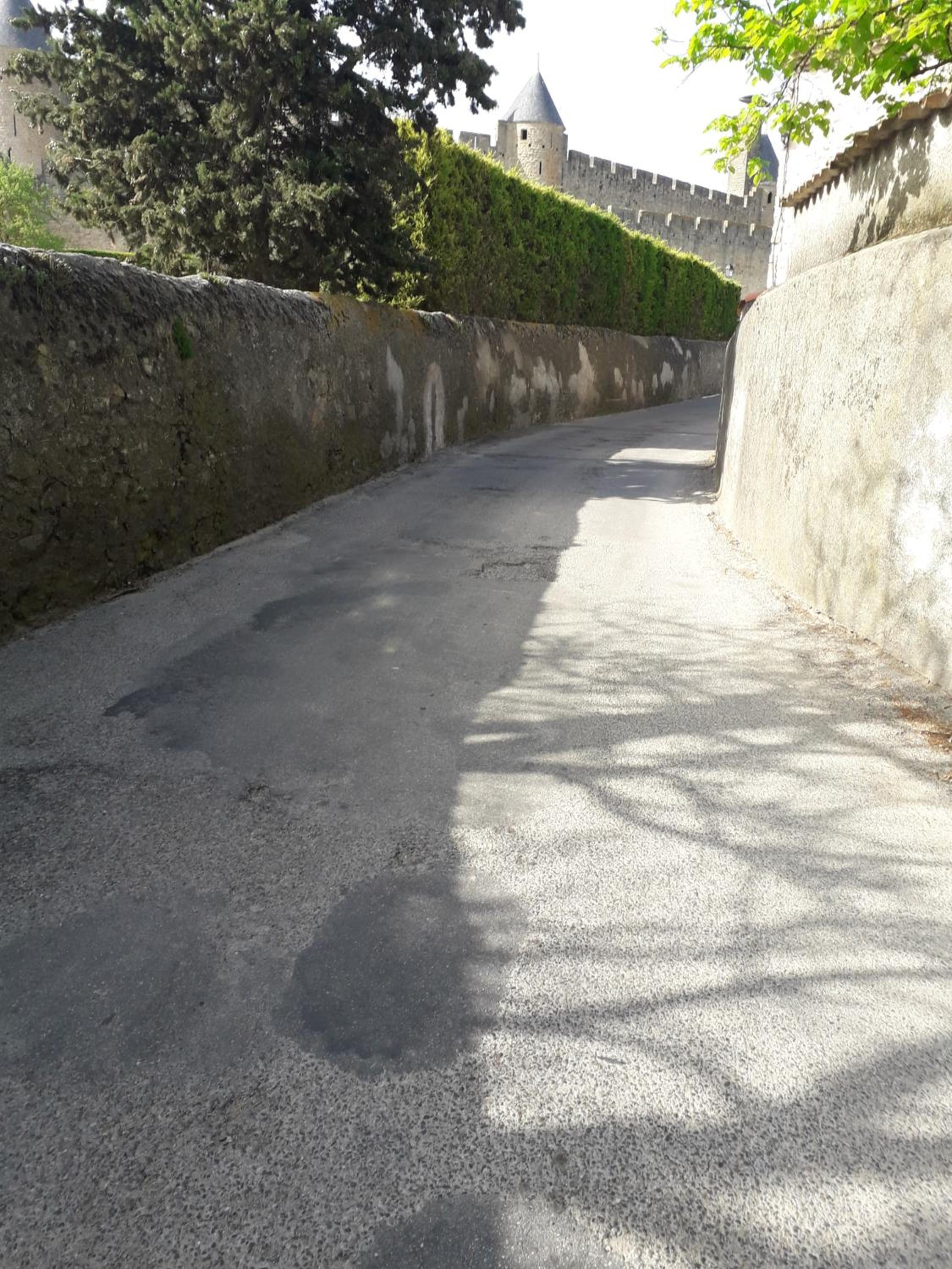 Photo 28
