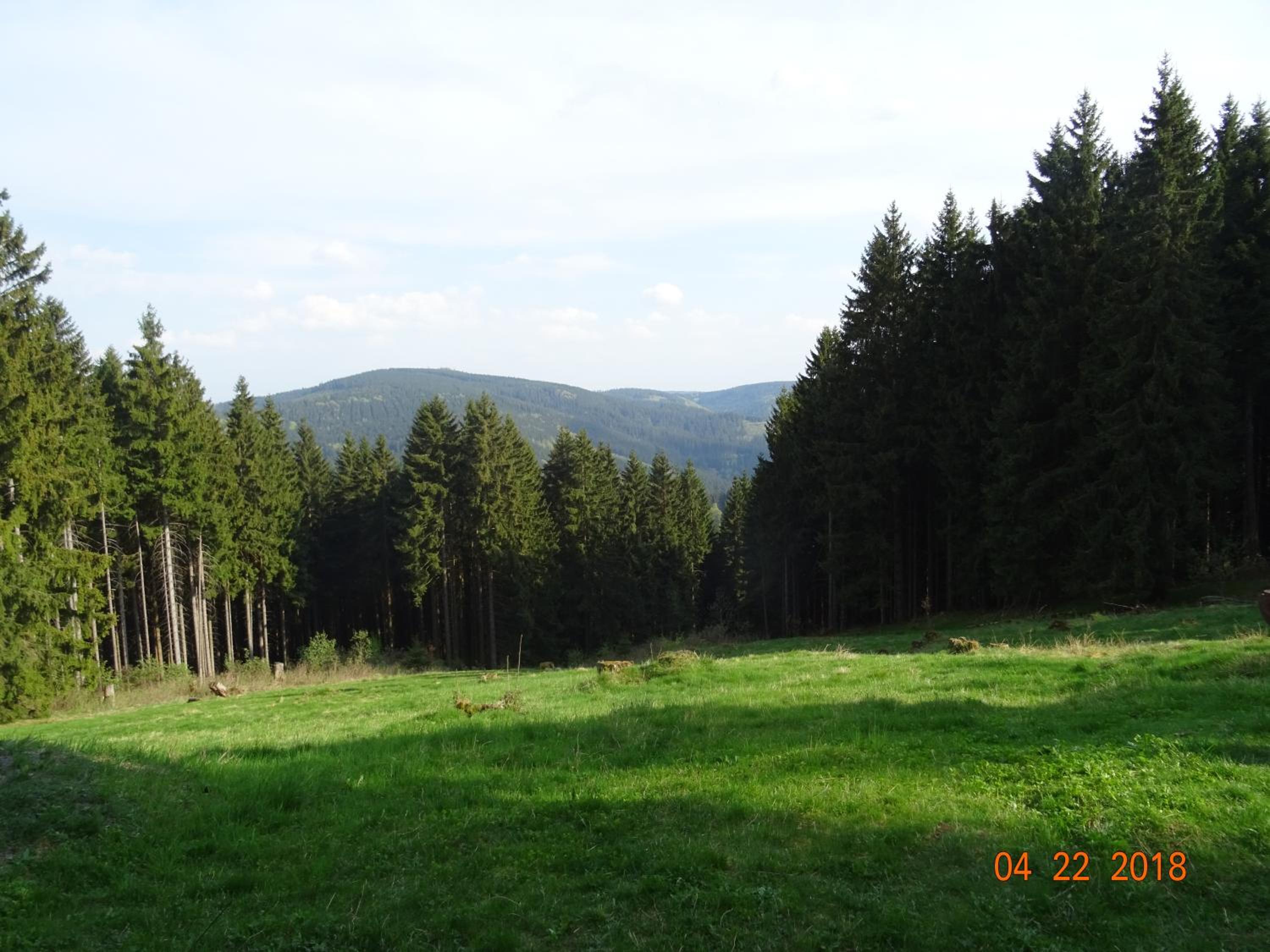 Photo 27