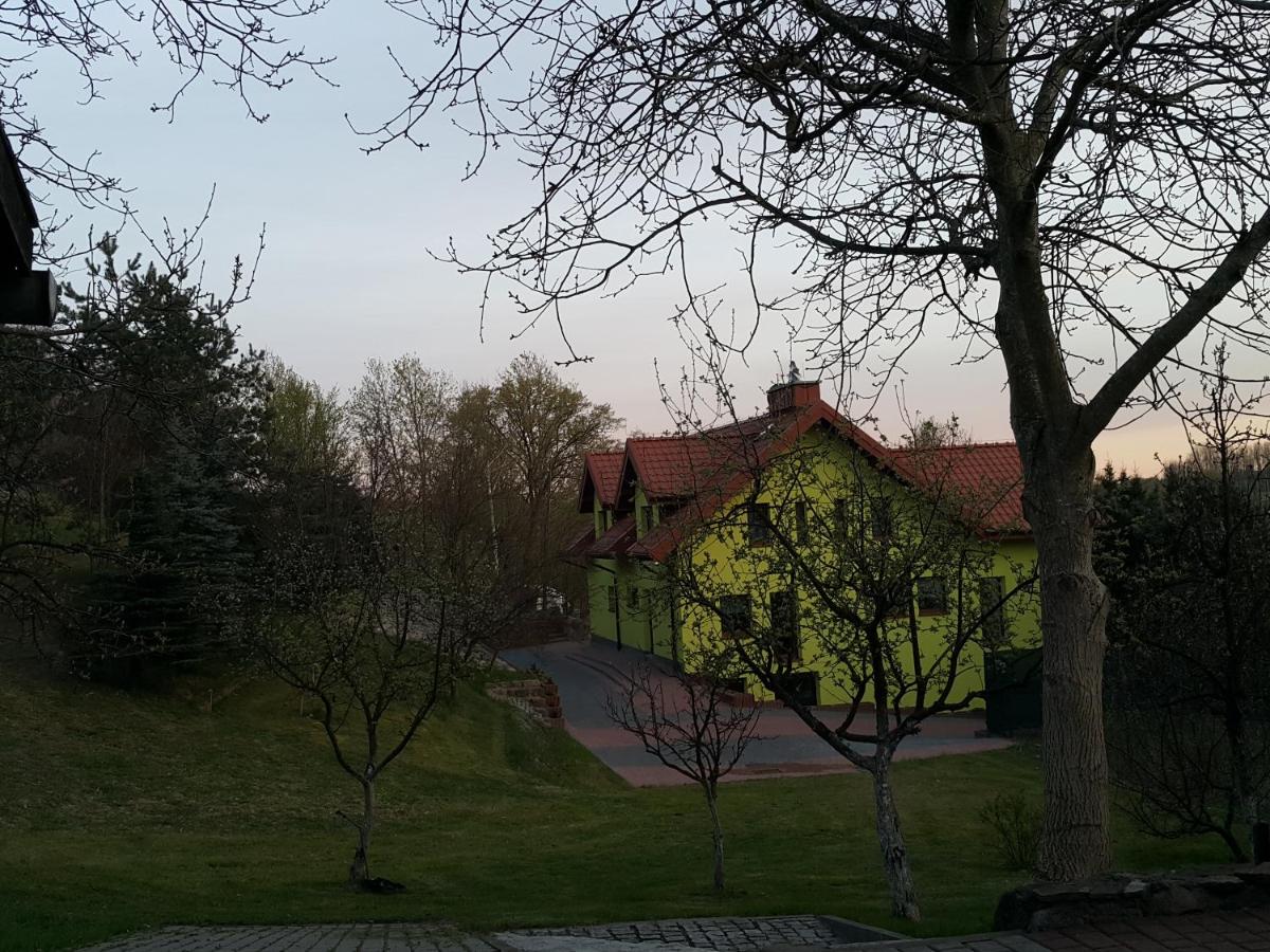 Green House Marcinkowo, photo 47